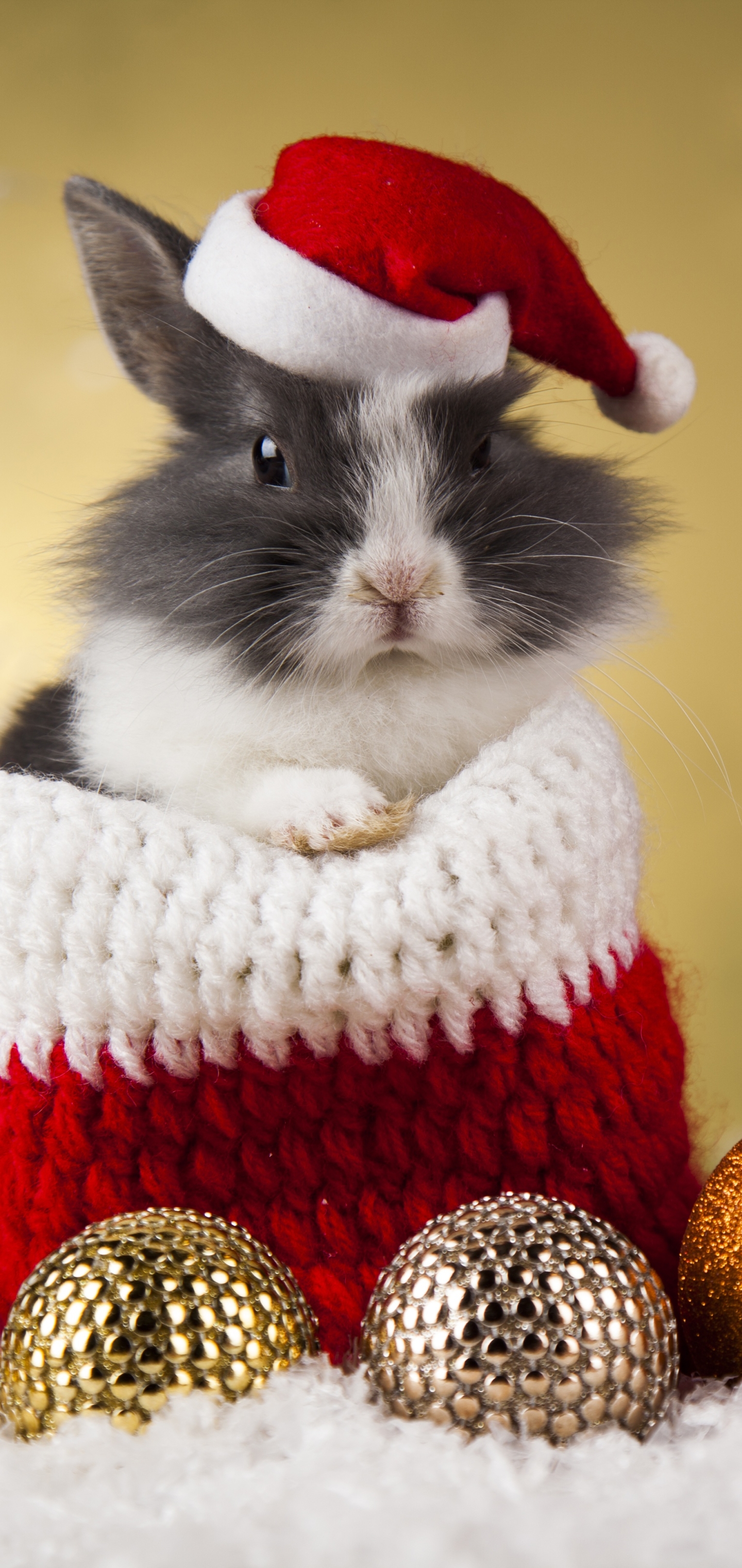 Baixar papel de parede para celular de Animais, Natal, Bugiganga, Coelho, Gorro Do Papai Noel gratuito.