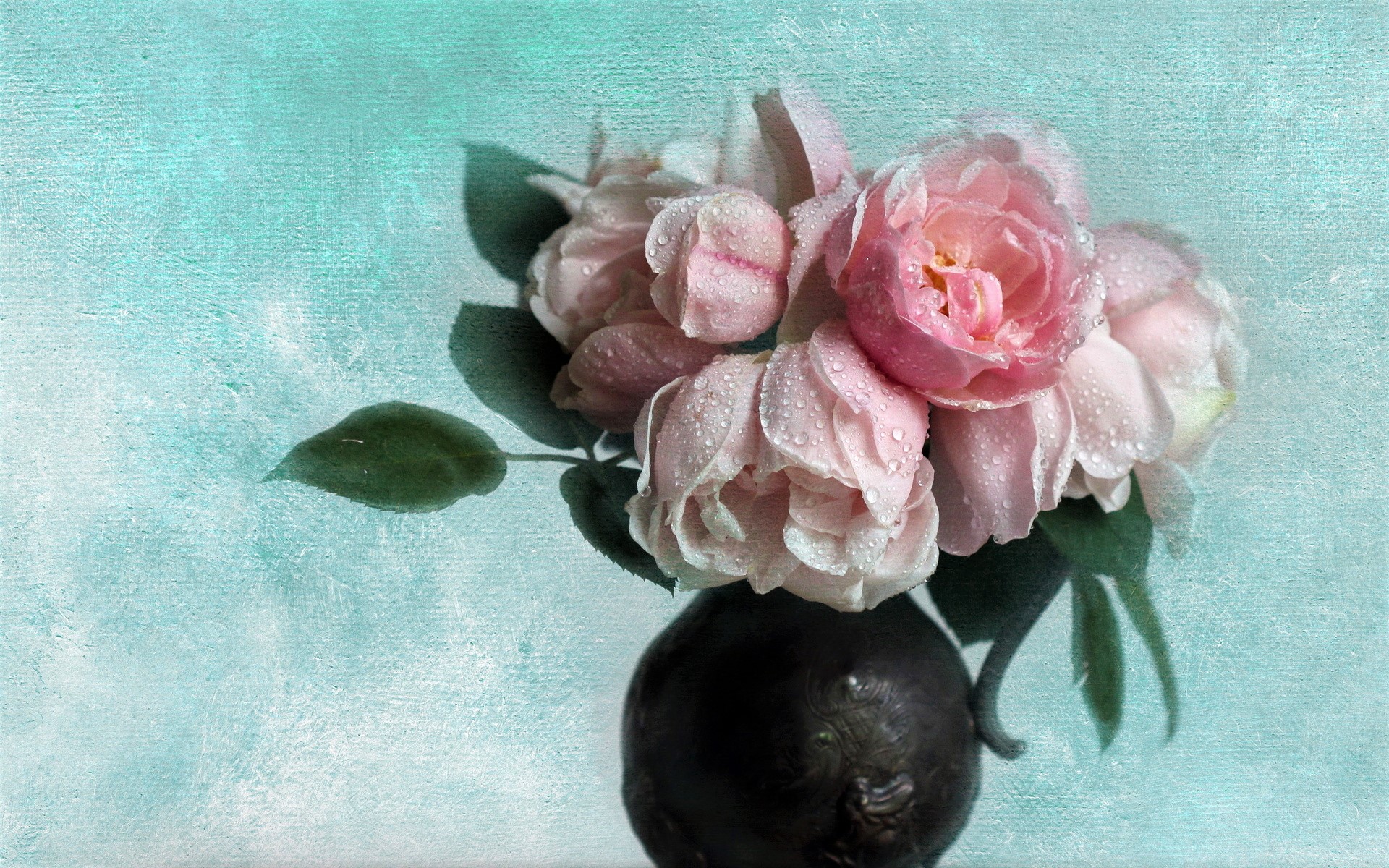 PCデスクトップに静物, 花, 薔薇, 花瓶, 牡丹, 写真撮影, ピンクの花画像を無料でダウンロード