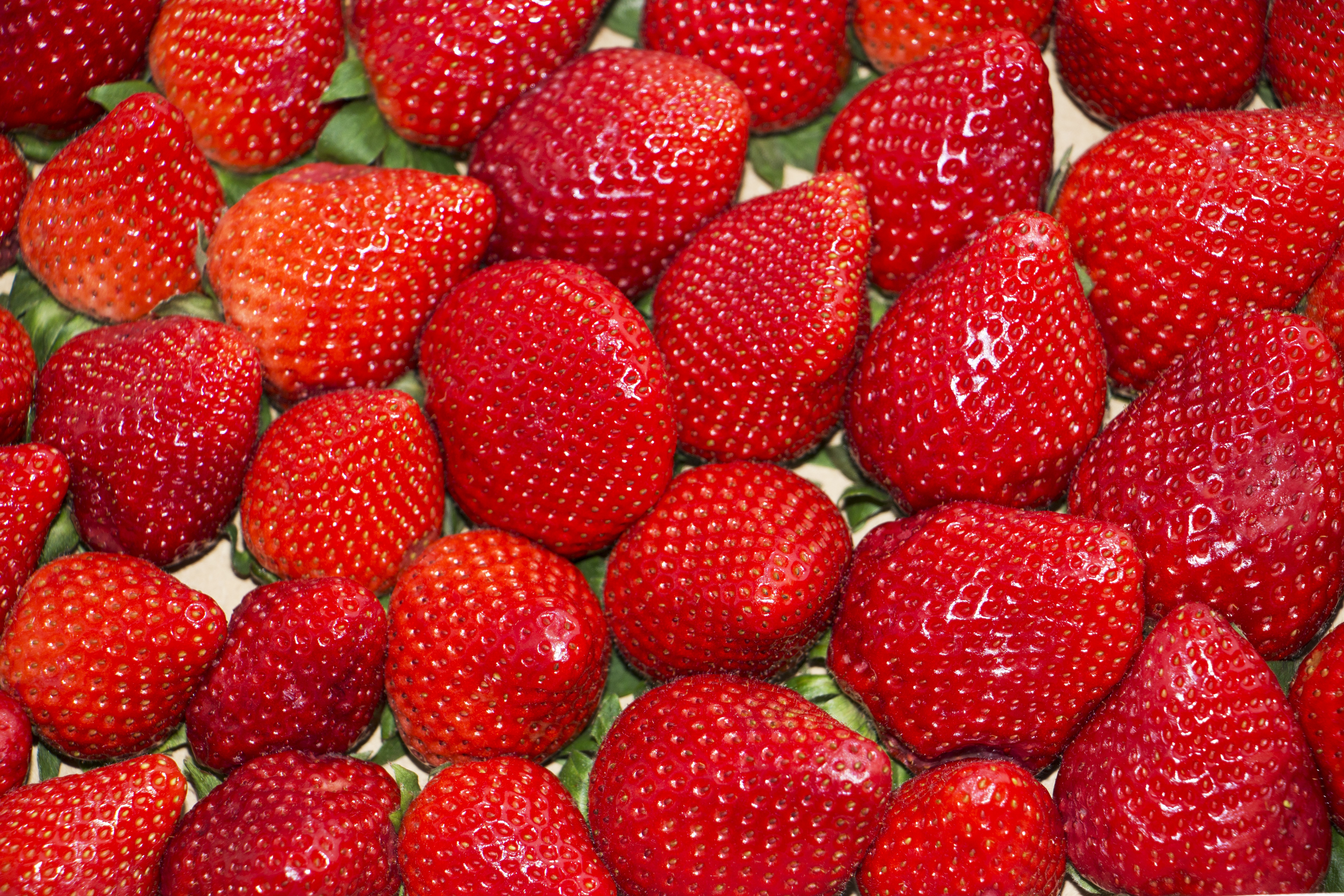 Free download wallpaper Food, Berries, Ripe, Strawberry on your PC desktop
