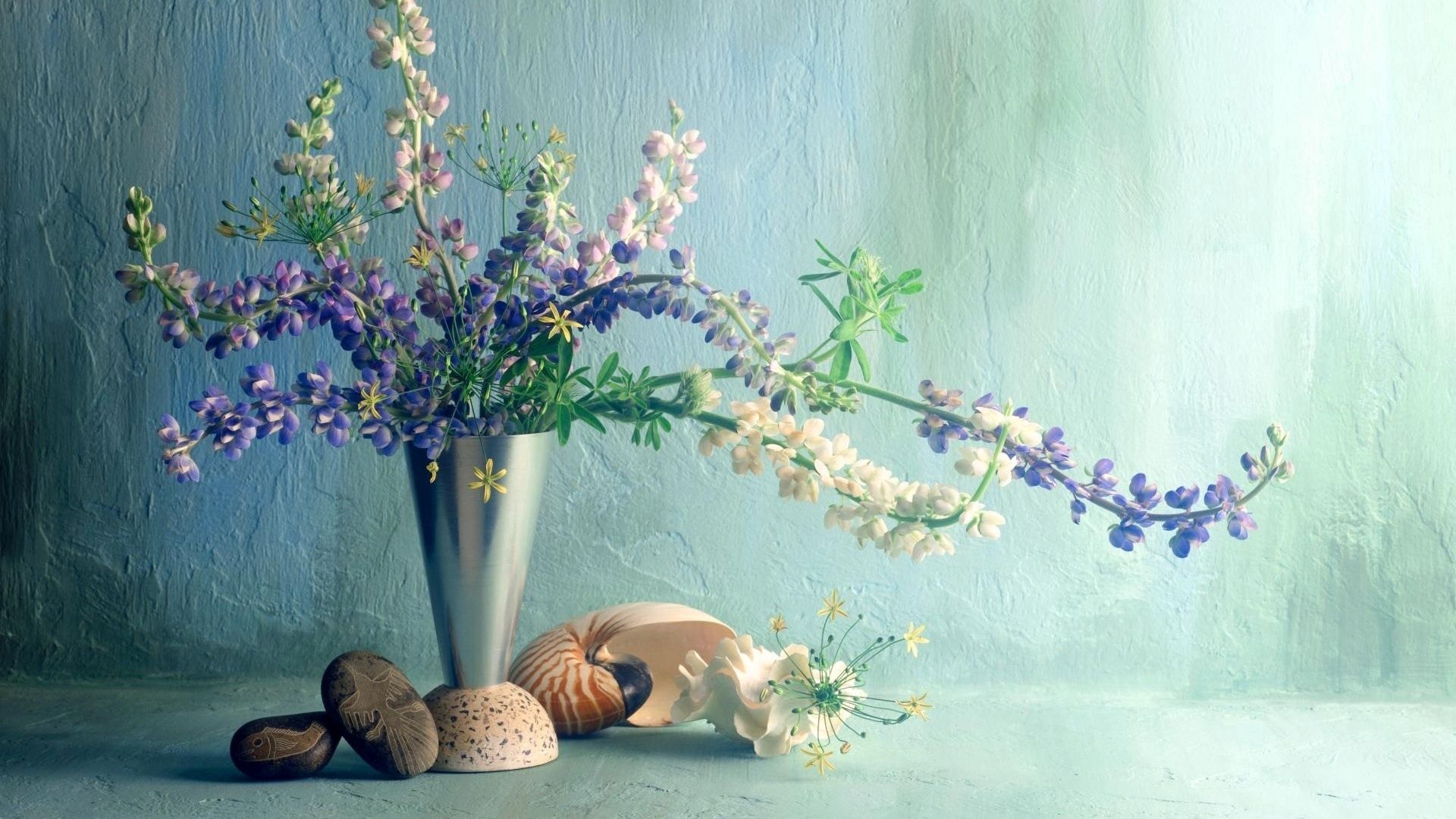 flowers, shells, bouquet, wall, vase, lupins