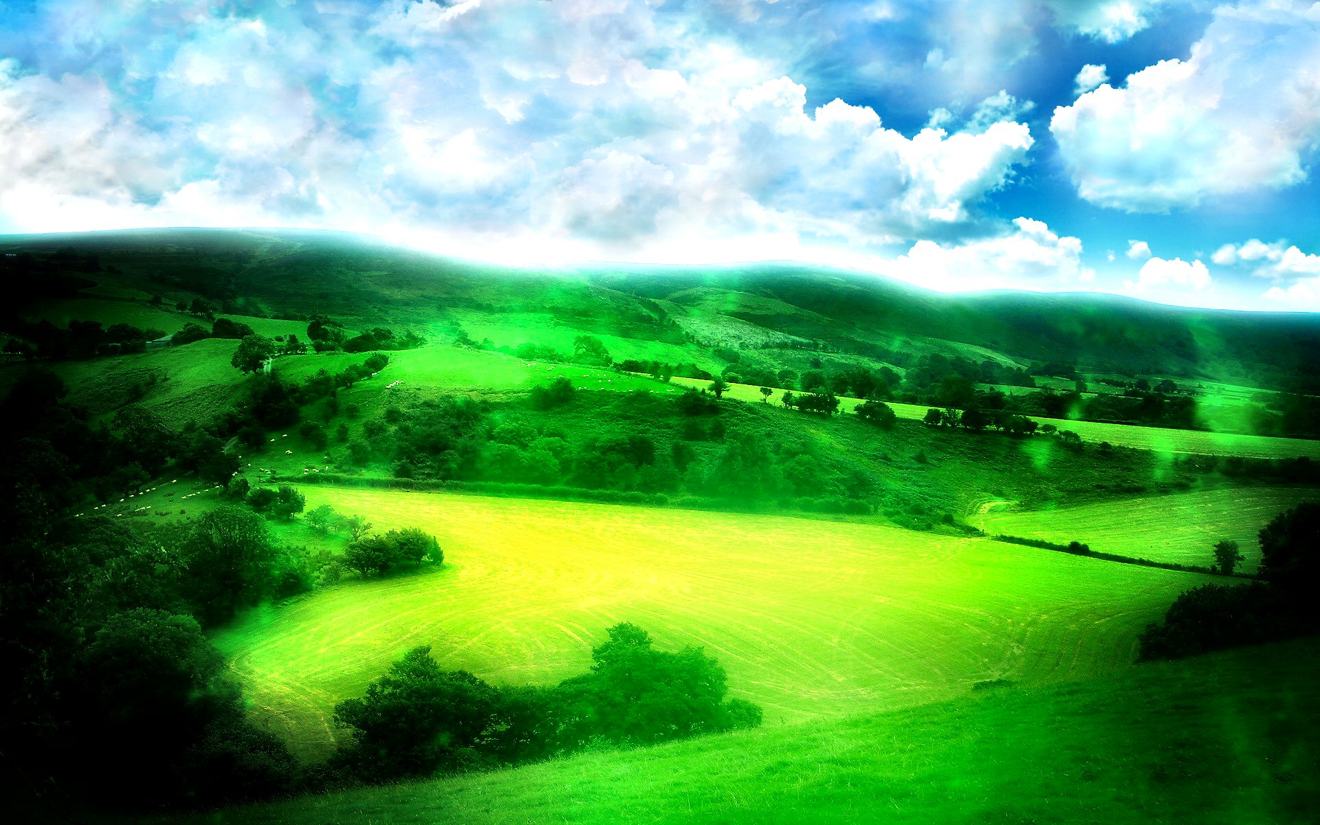 Laden Sie das Landschaft, Sommer, Horizont, Feld, Sonnig, Fotografie-Bild kostenlos auf Ihren PC-Desktop herunter