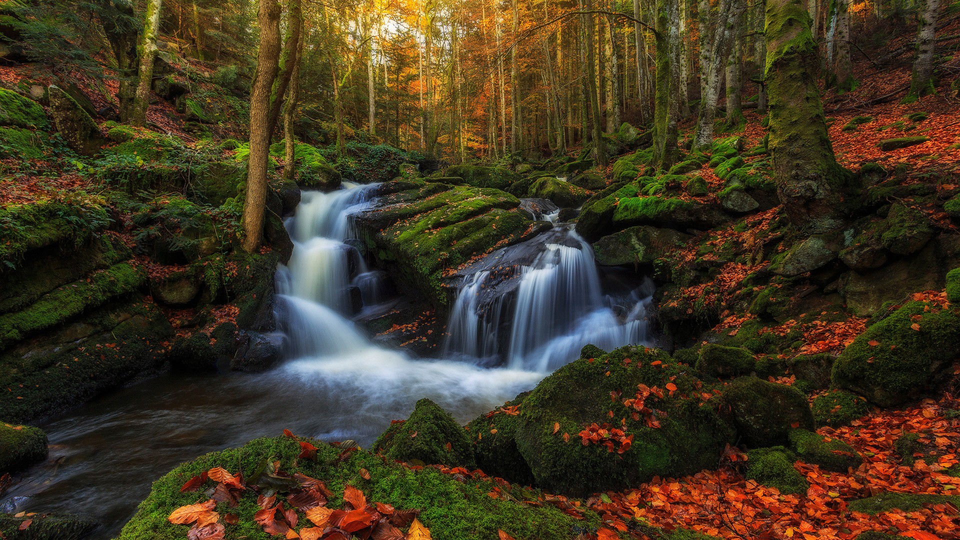 Free download wallpaper Nature, Waterfall, Forest, Leaf, Fall, Earth, Stream on your PC desktop