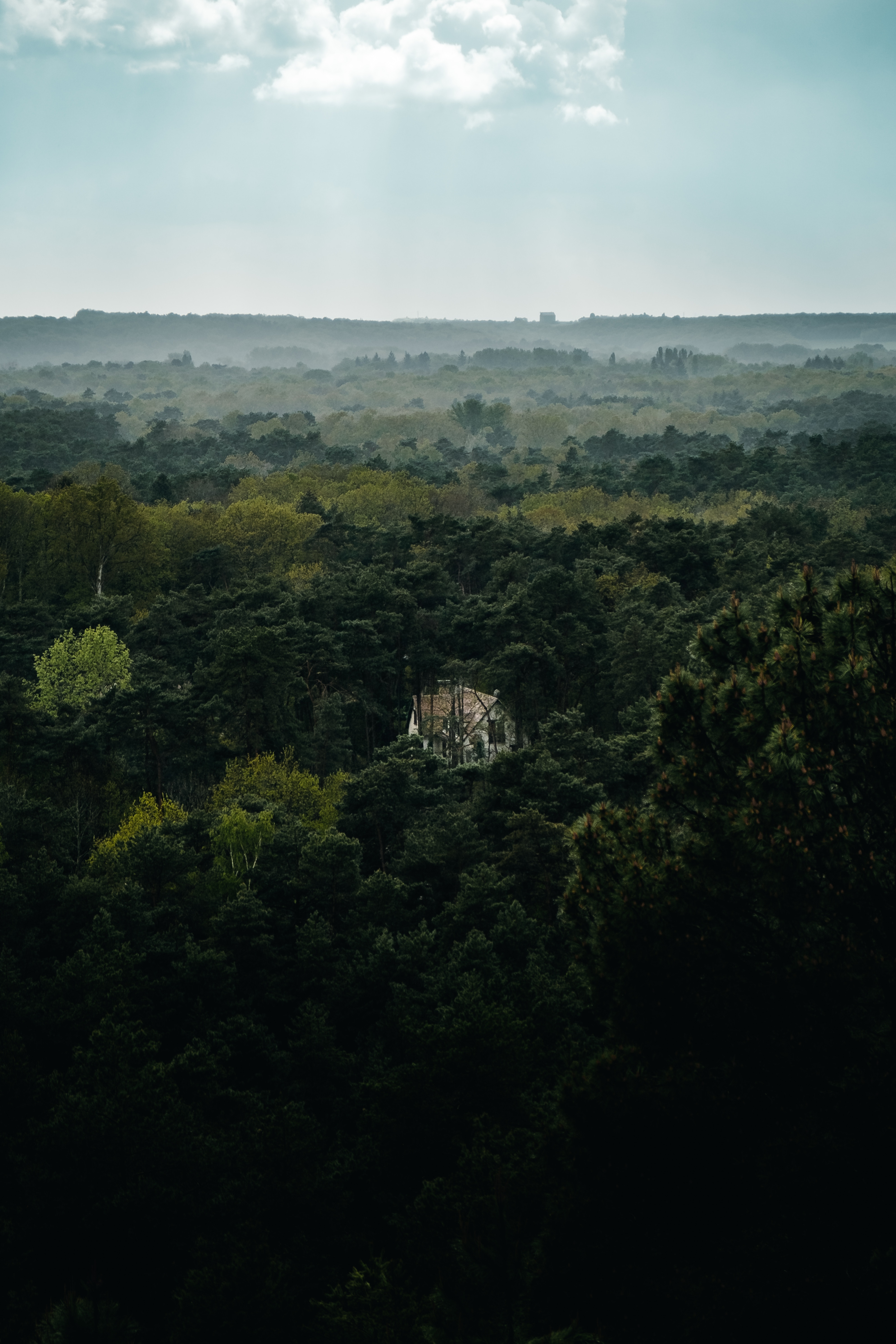 house, forest, alone, nature, trees, view from above, lonely