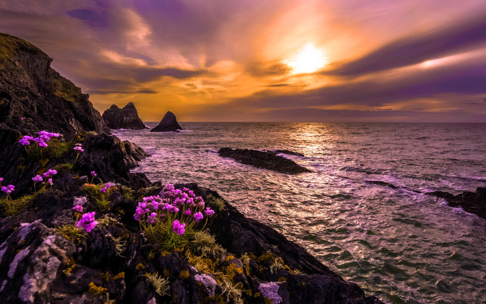 Descarga gratuita de fondo de pantalla para móvil de Mar, Horizonte, Flor, Costa, Océano, Atardecer, Tierra/naturaleza.