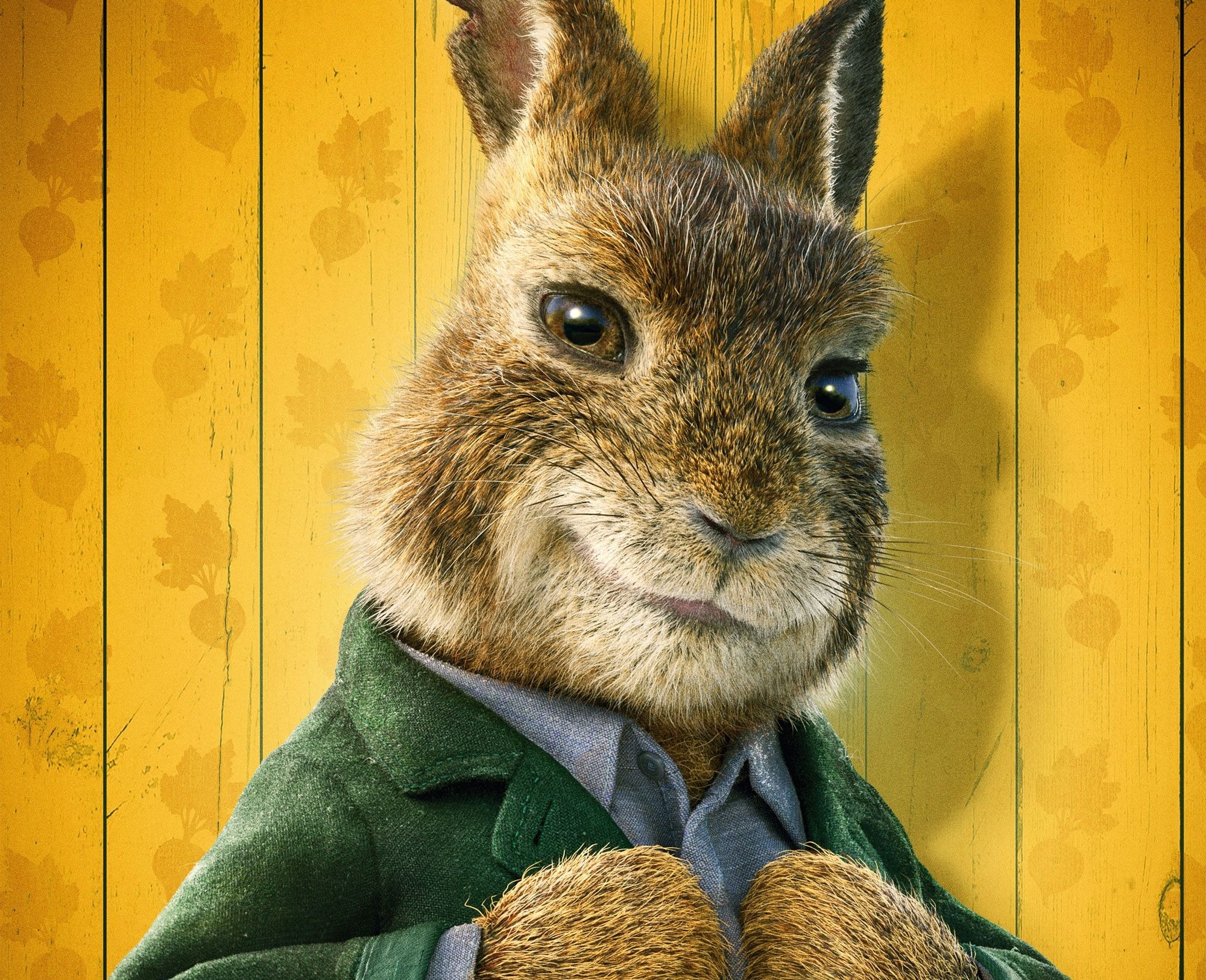 movie, peter rabbit 2: the runaway