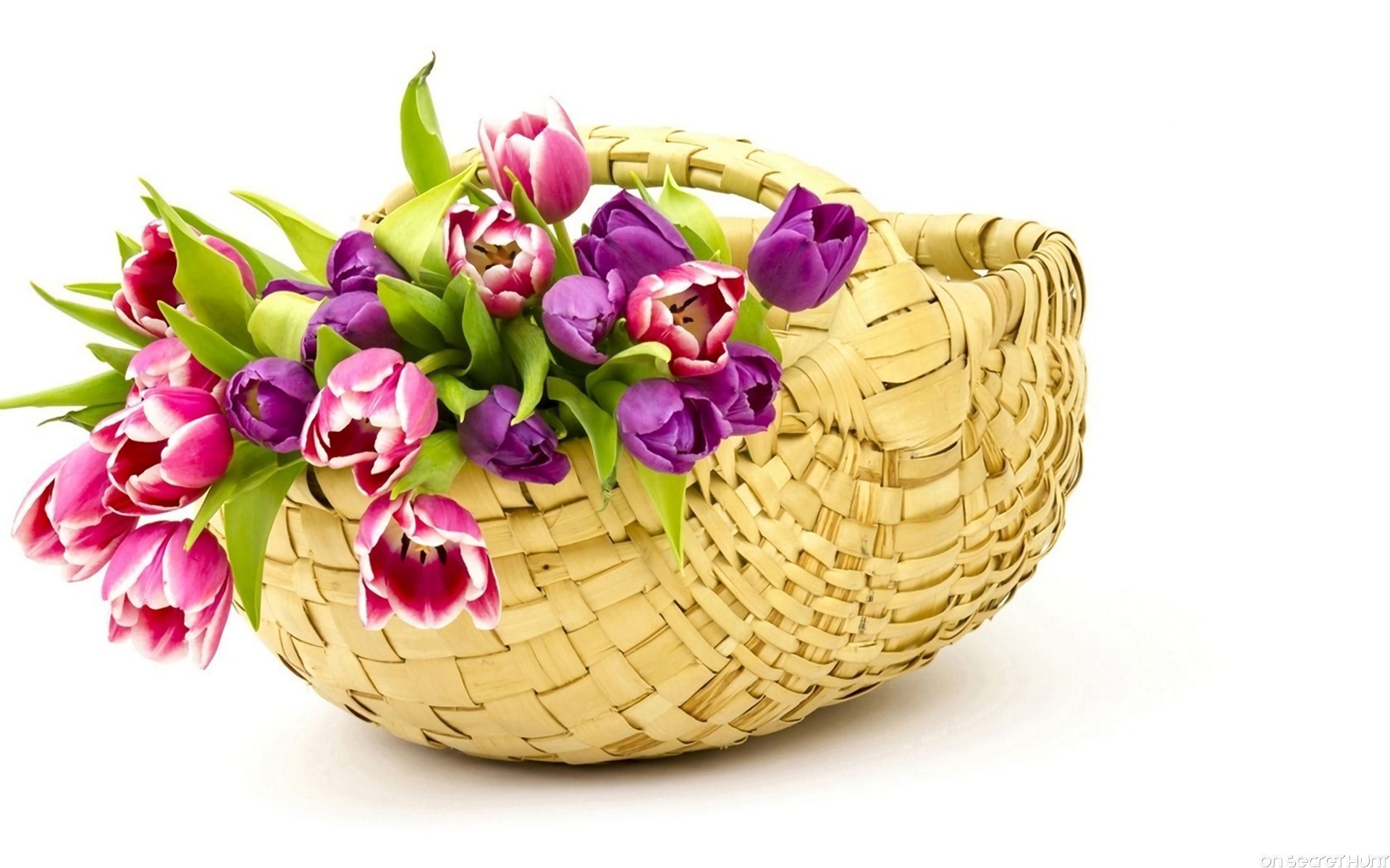 Download mobile wallpaper Flower, Bud, Basket, Tulip, Purple Flower, Man Made, Pink Flower for free.