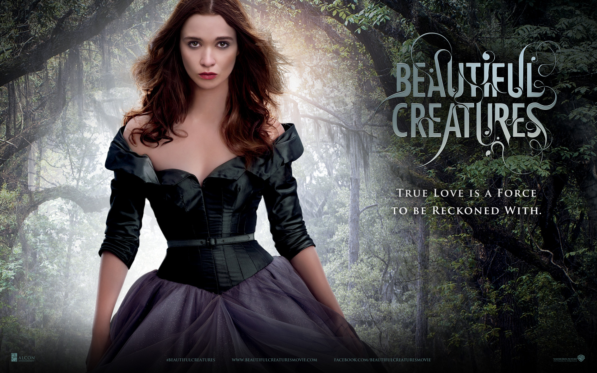Laden Sie Beautiful Creatures Eine Unsterbliche Liebe HD-Desktop-Hintergründe herunter
