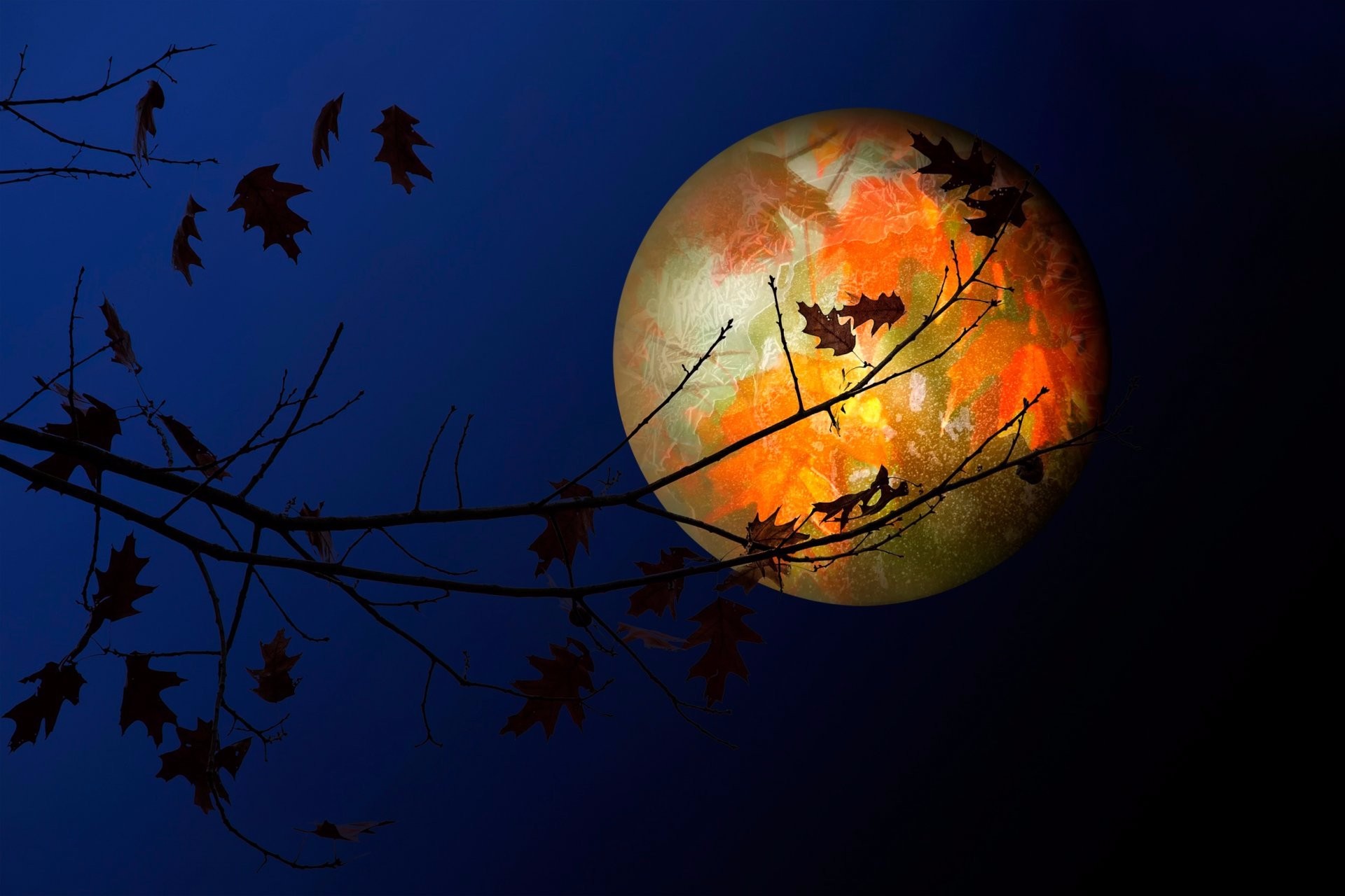 Скачать обои бесплатно Осень, Ночь, Луна, Силуэт, Ветка, Листва, Художественные картинка на рабочий стол ПК