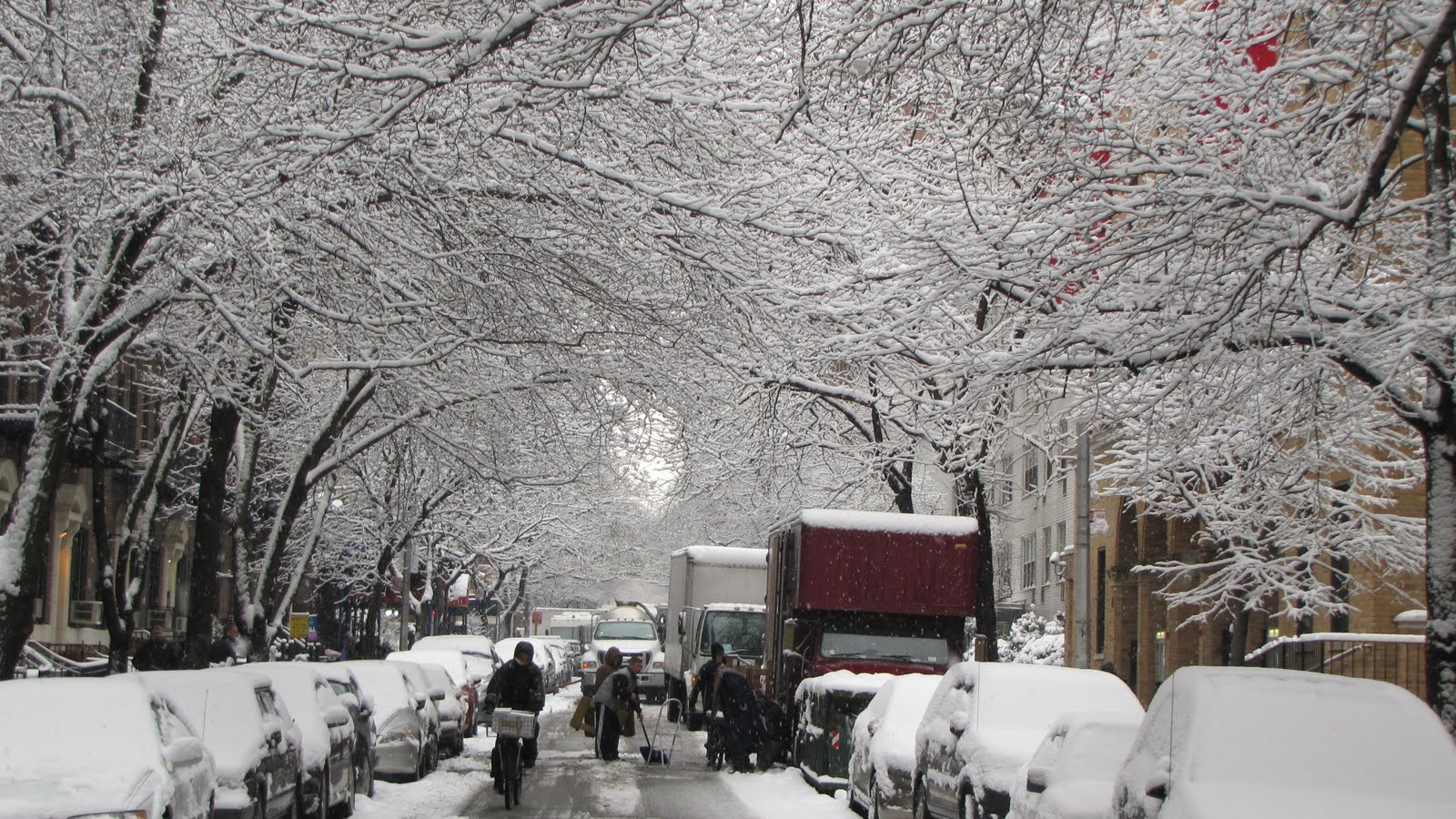 Baixe gratuitamente a imagem Inverno, Fotografia na área de trabalho do seu PC