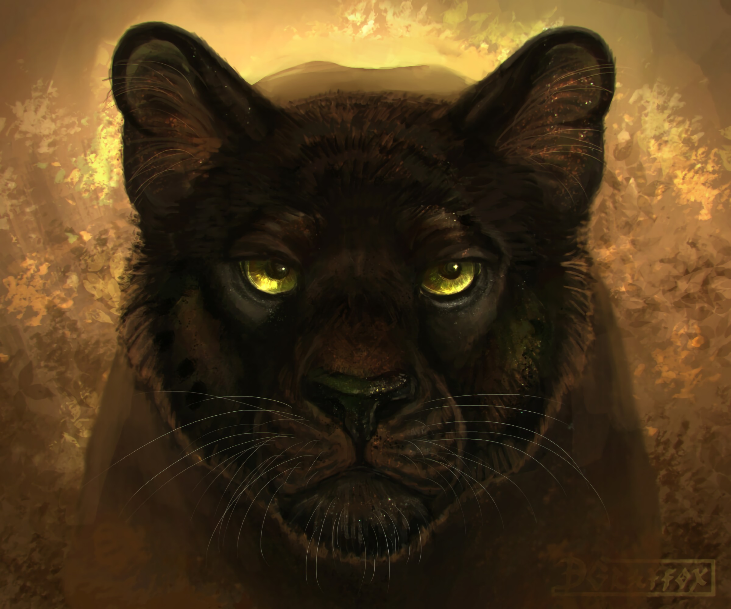 Free download wallpaper Predator, Sight, Opinion, Art, Panther on your PC desktop