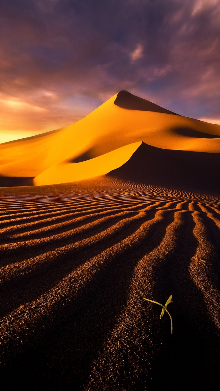 Descarga gratuita de fondo de pantalla para móvil de Desierto, California, Duna, Tierra/naturaleza, Valle De La Muerte.
