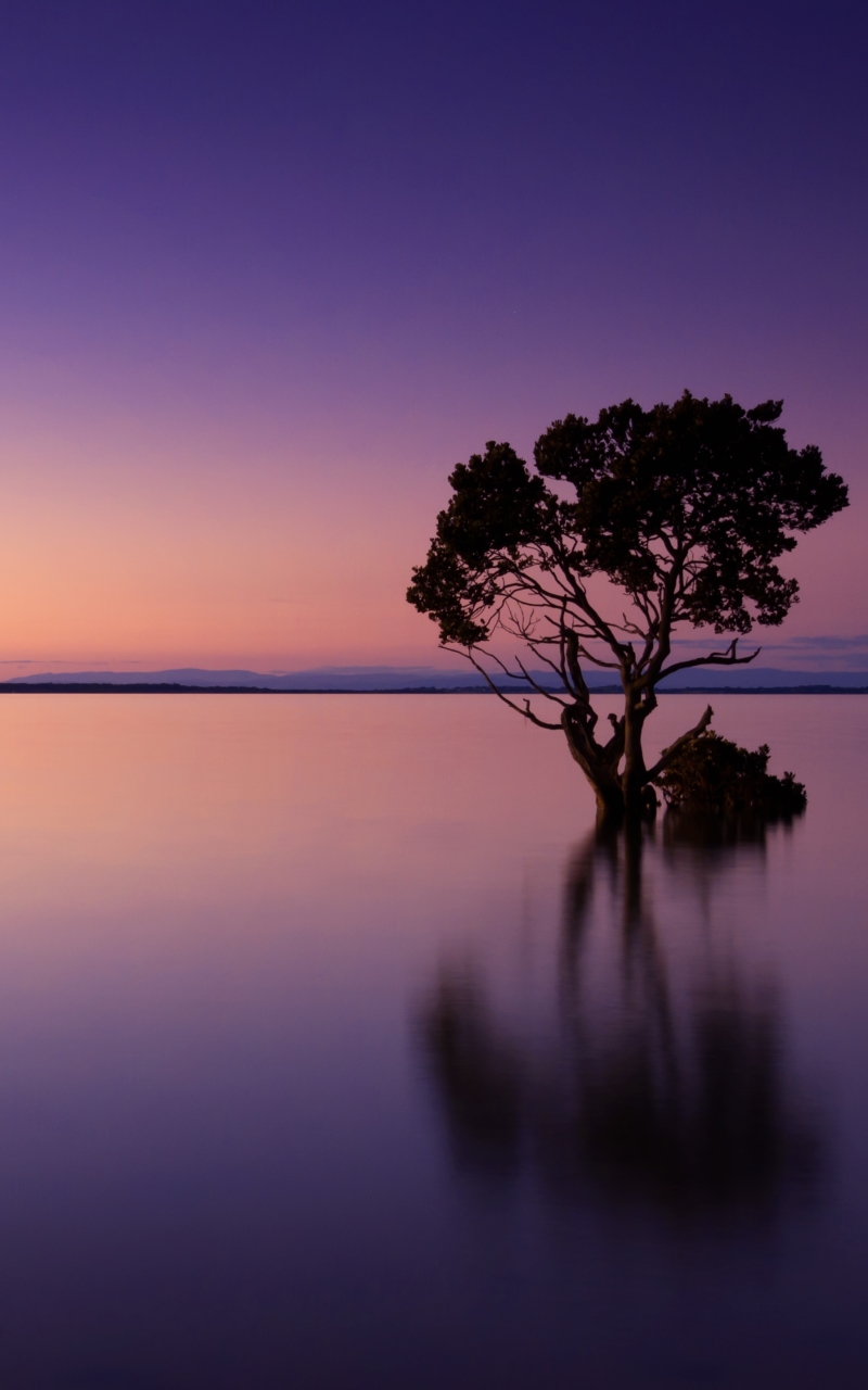 Download mobile wallpaper Water, Sunset, Horizon, Reflection, Tree, Earth, Evening, Lonely Tree for free.