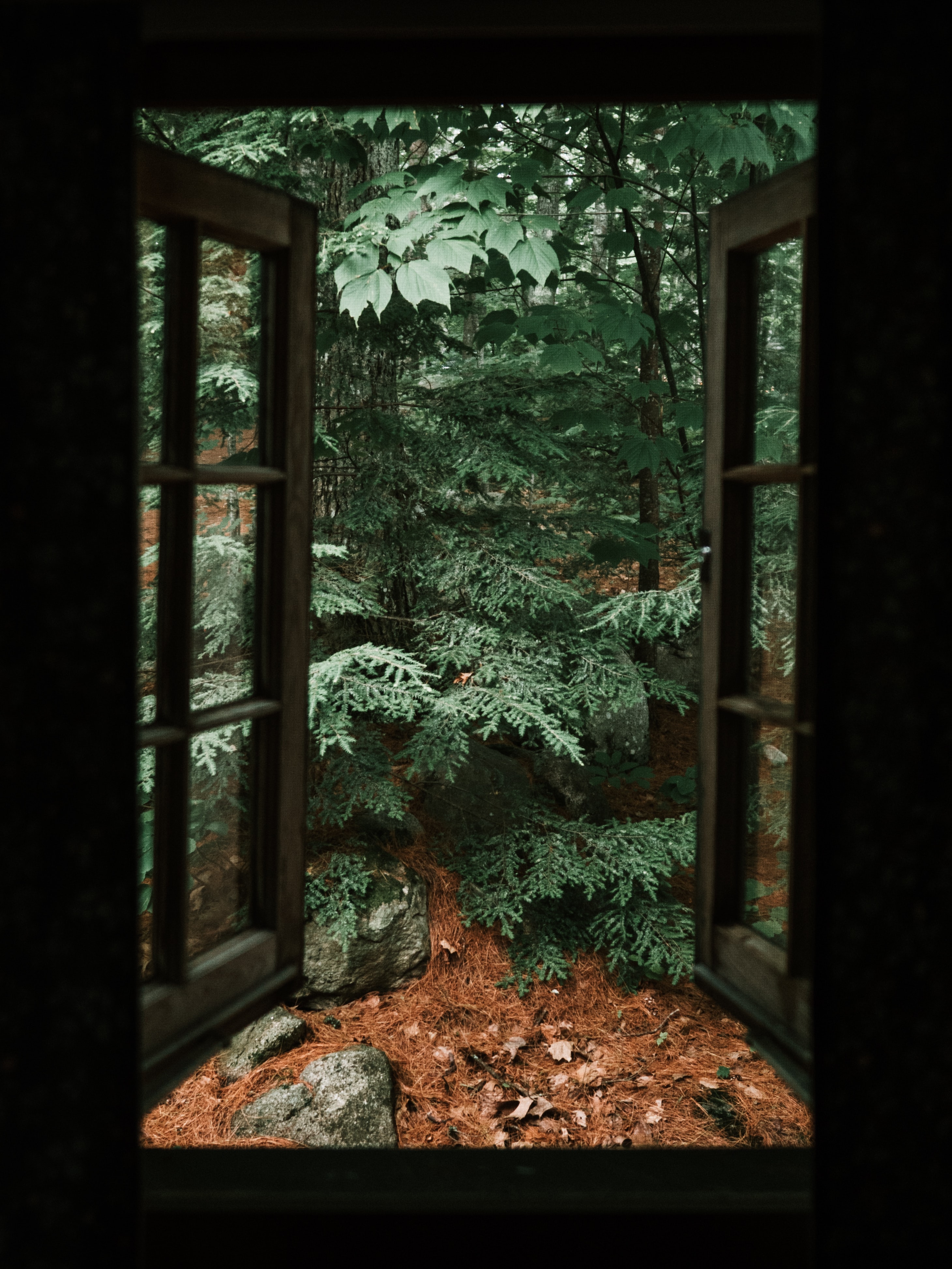Download mobile wallpaper Spruce, Fir, Clouds, Miscellanea, Miscellaneous, Wood, Tree, Window, Stones for free.