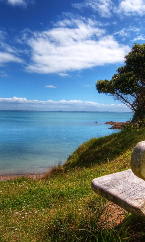 Download mobile wallpaper Landscape, Water, Grass, Sky, Shore, Tree, Ocean, Earth, Bench, Cloud for free.