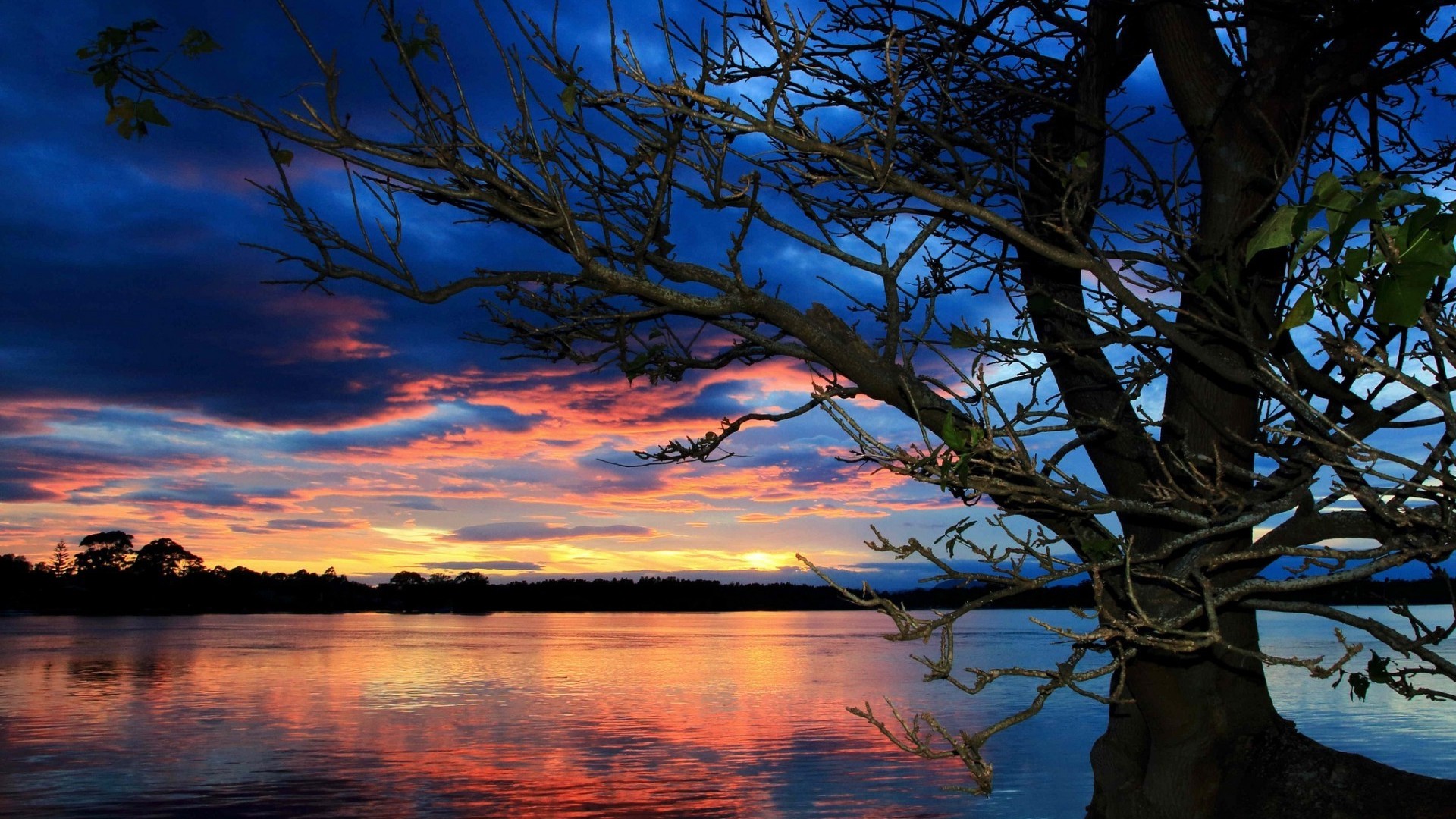 PCデスクトップに自然, 木, 日没, 湖, 青い, ブランチ, 地球, 空, クラウド, オレンジ色）画像を無料でダウンロード
