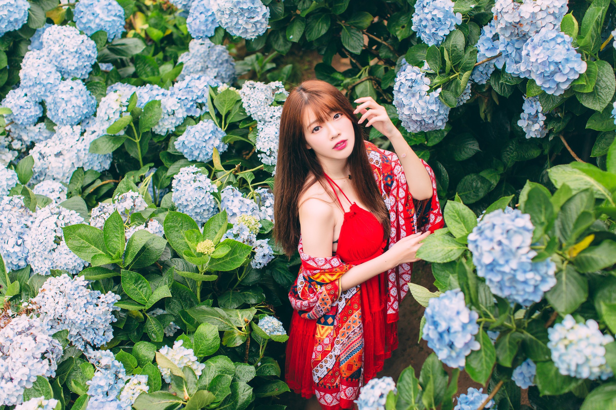 Free download wallpaper Flower, Hydrangea, Brunette, Model, Women, Asian, Long Hair, Red Dress on your PC desktop