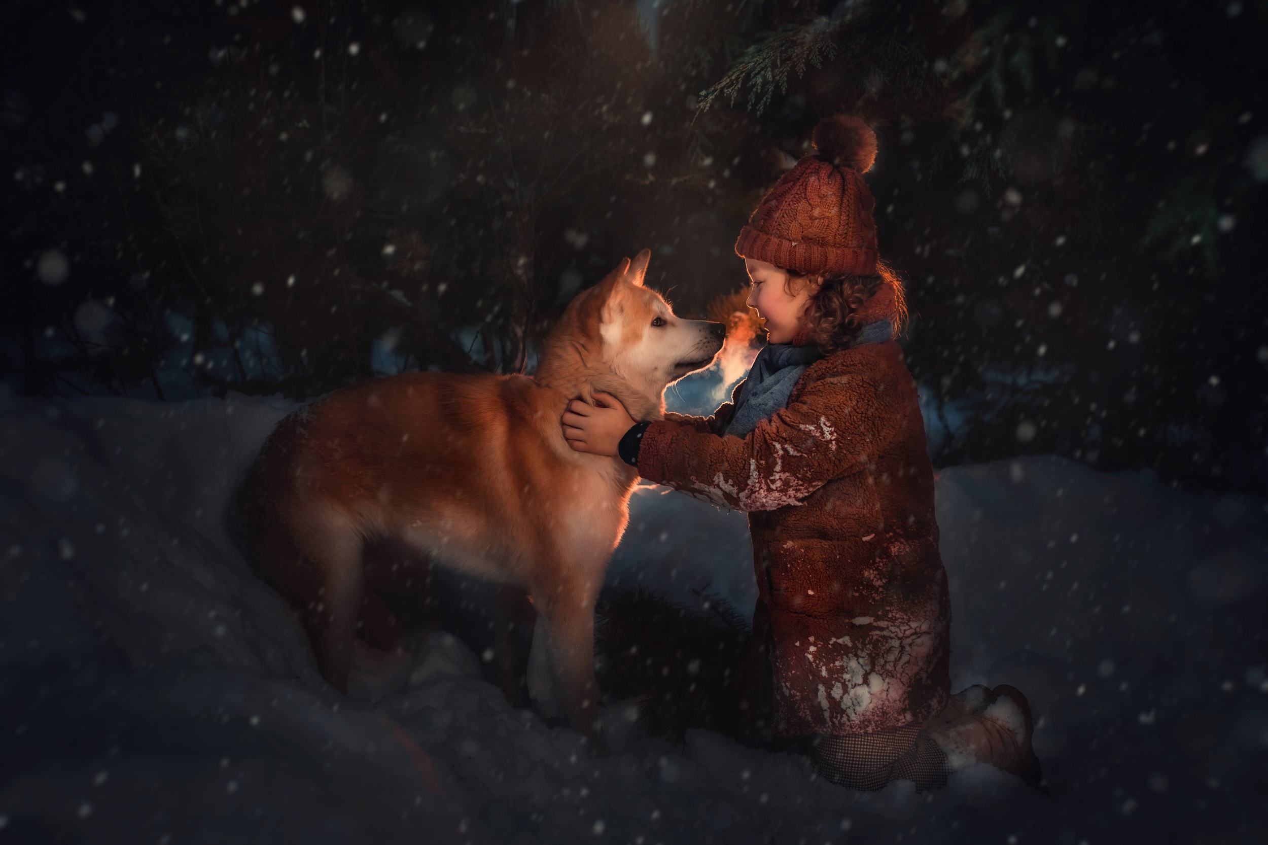 Handy-Wallpaper Winter, Hund, Kind, Fotografie, Nacht, Shiba Inu kostenlos herunterladen.