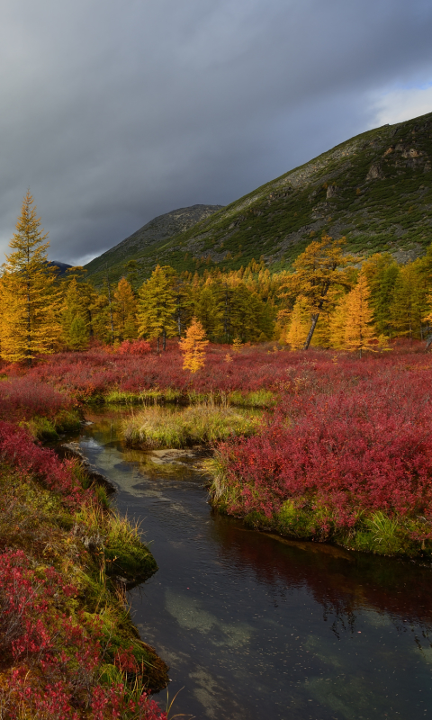 無料モバイル壁紙風景, 秋, 地球をダウンロードします。