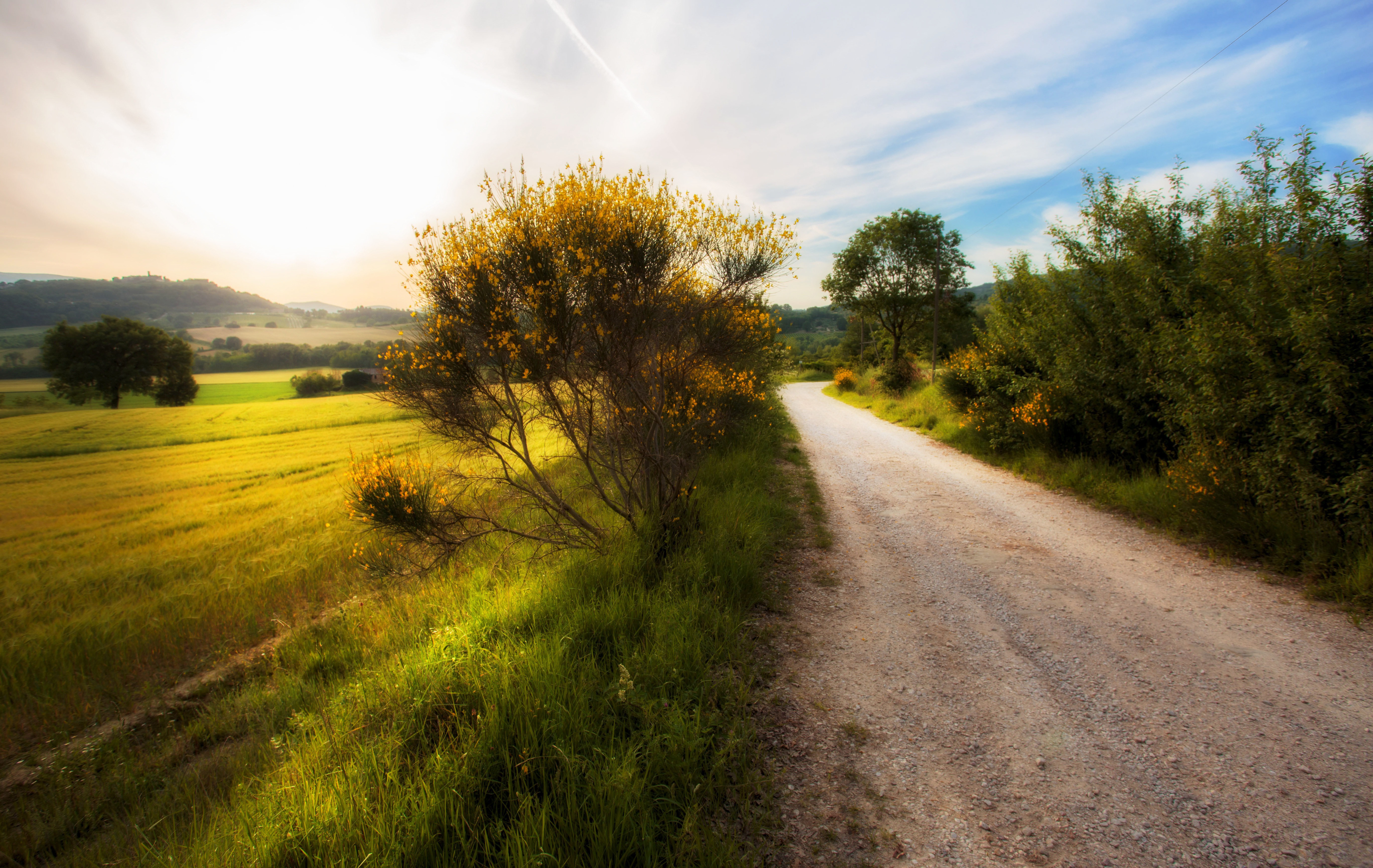Download mobile wallpaper Landscape, Grass, Road, Field, Man Made, Dirt Road for free.
