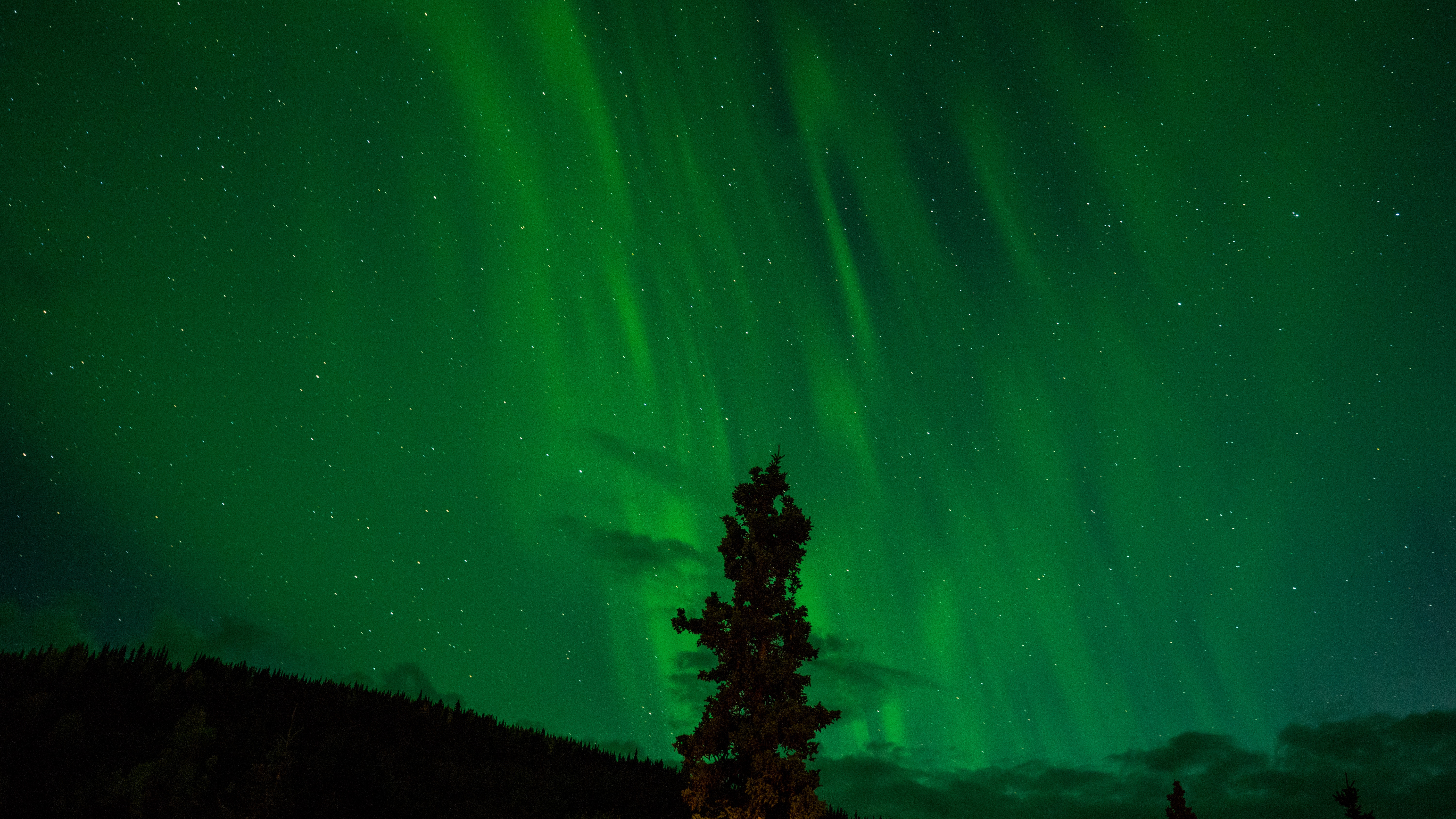 Téléchargez gratuitement l'image Etoiles, Nuit, Lumière, Aurore Boréale, Ciel, La Nature, Terre/nature sur le bureau de votre PC