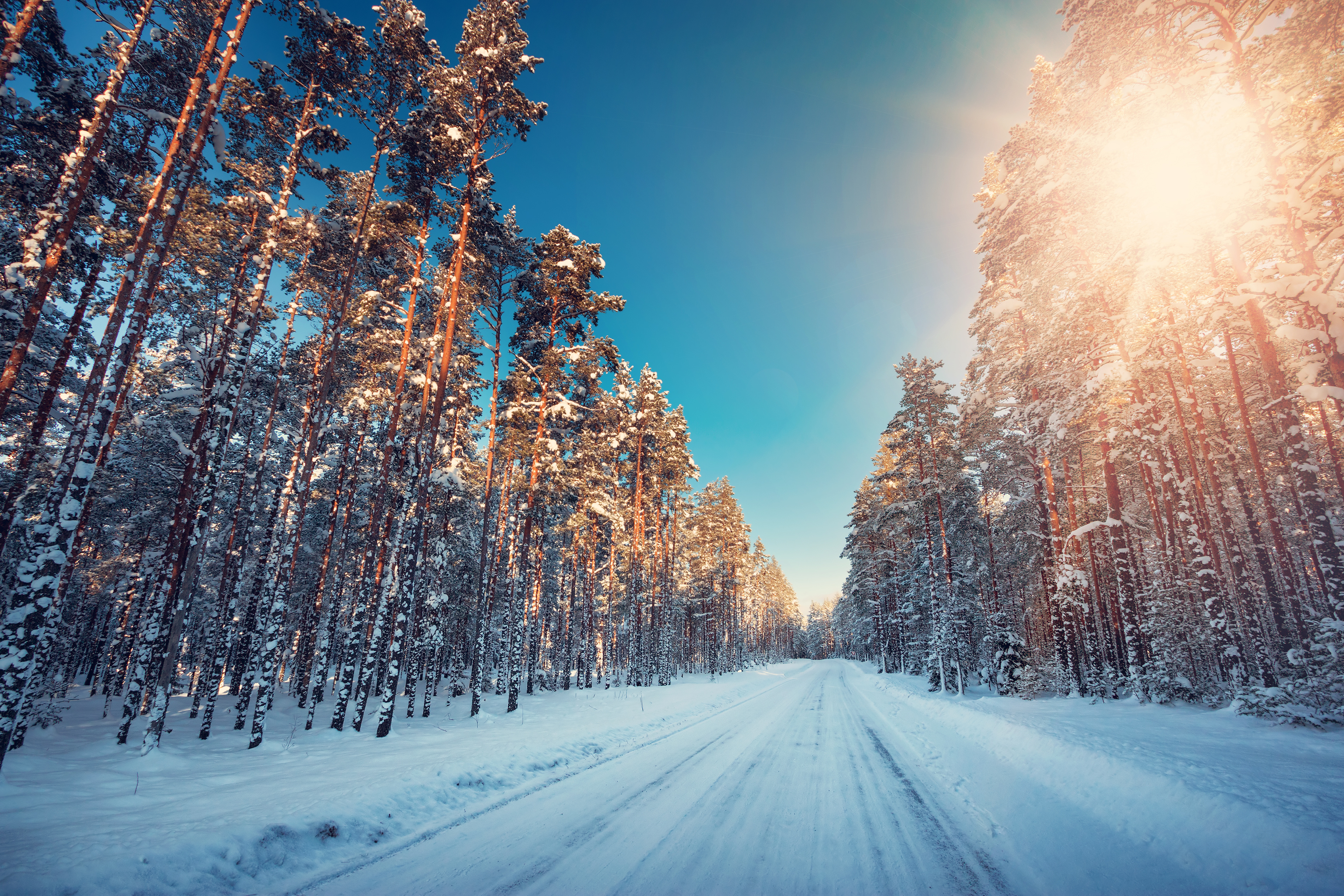 Téléchargez gratuitement l'image Hiver, Terre/nature sur le bureau de votre PC