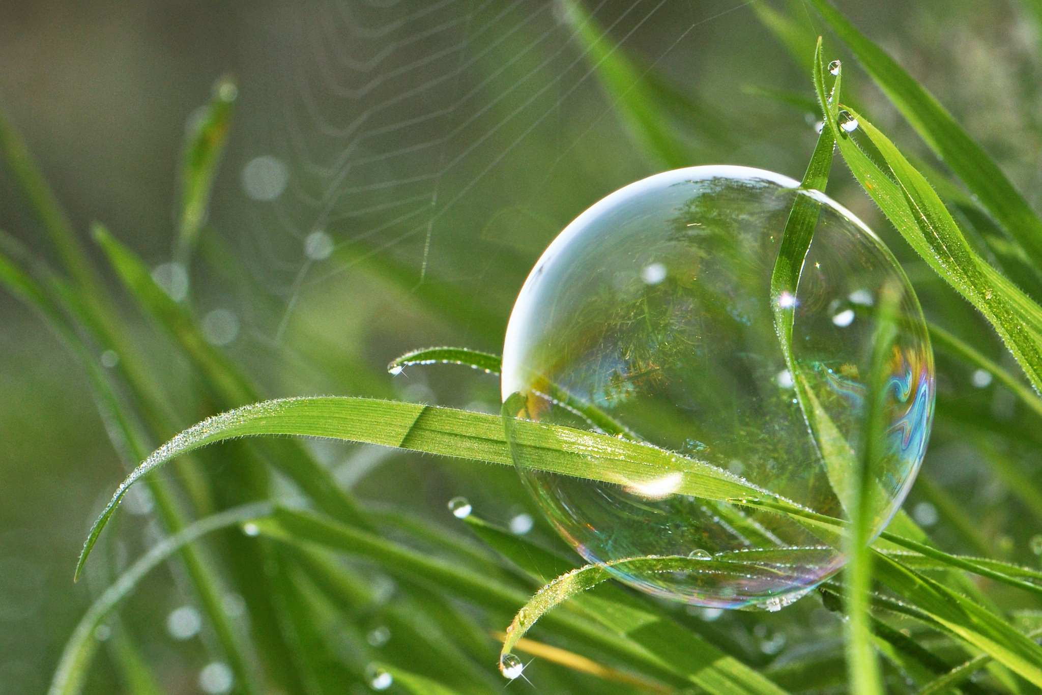 Download mobile wallpaper Nature, Grass, Macro, Photography, Bubble for free.