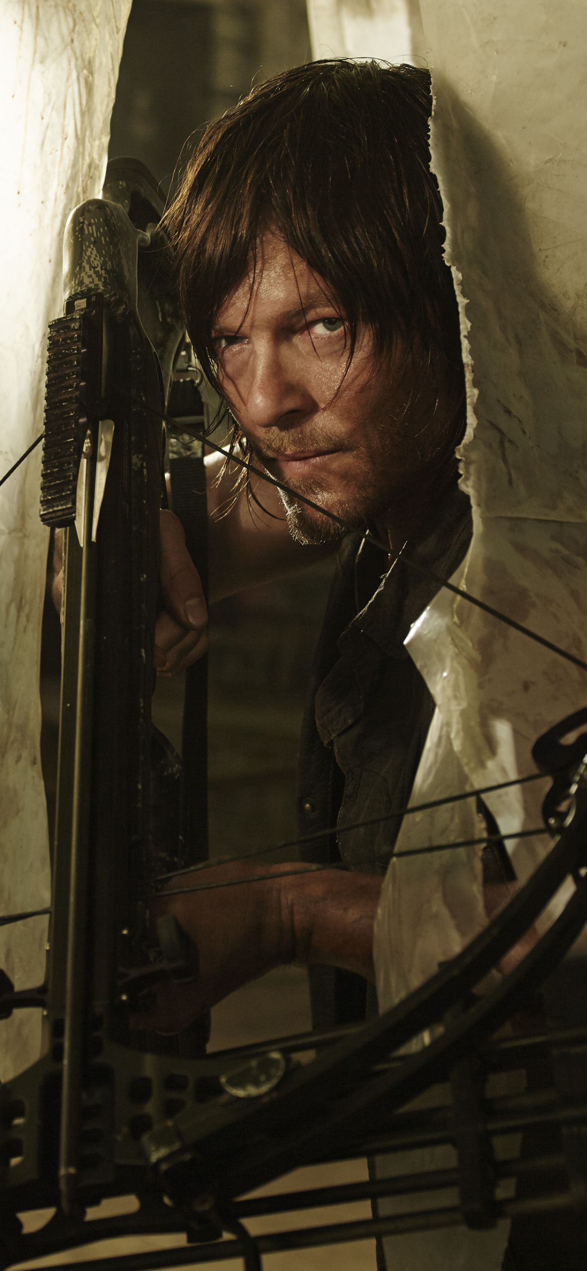 Descarga gratuita de fondo de pantalla para móvil de Series De Televisión, Norman Reedus, The Walking Dead, Daryl Dixon.