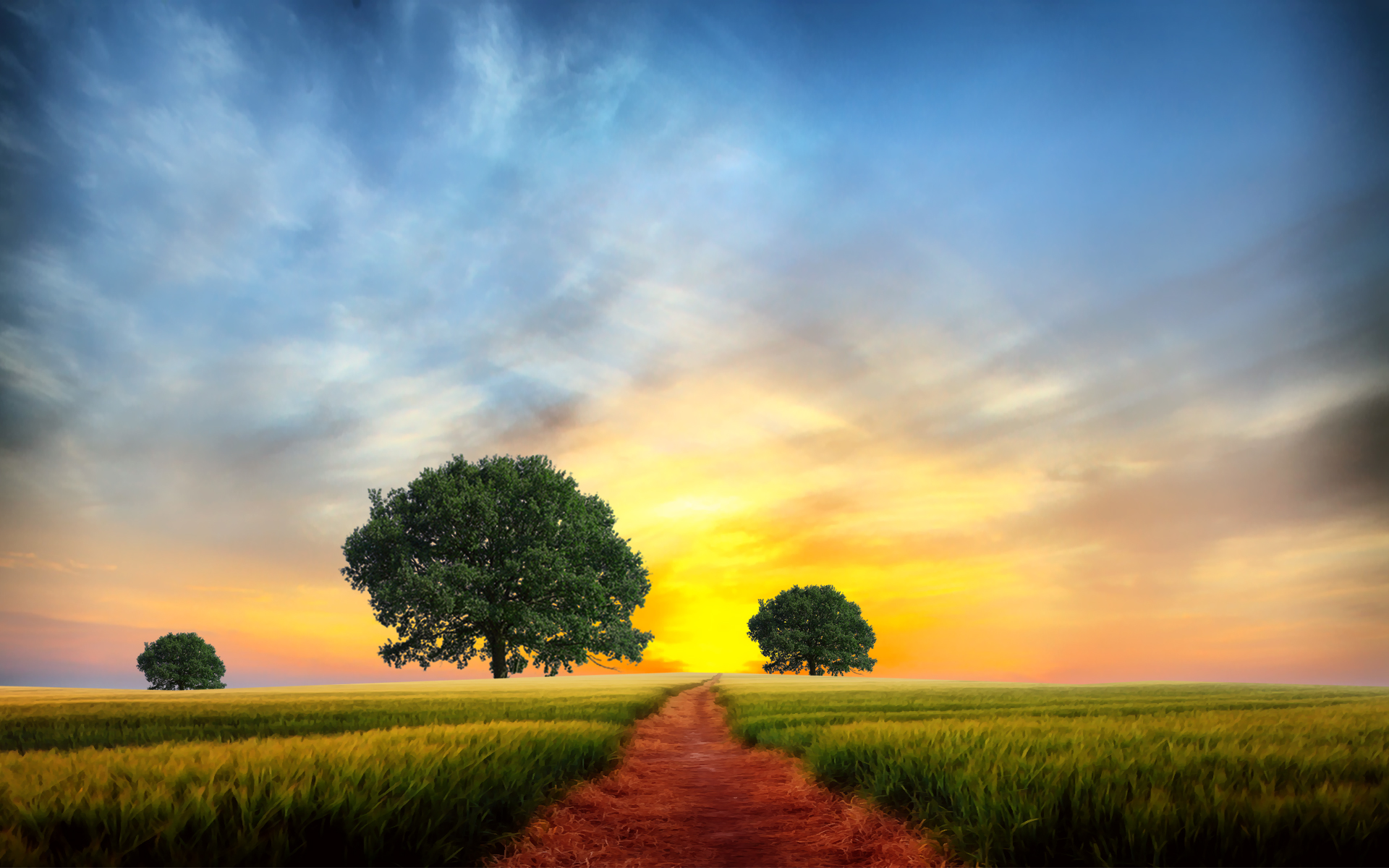 Download mobile wallpaper Landscape, Nature, Sunset, Sky, Tree, Earth, Field, Path for free.