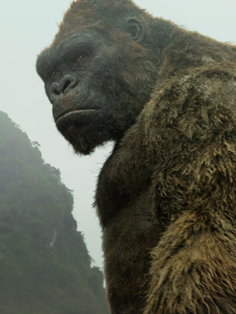 Téléchargez des papiers peints mobile Film, Kong: Skull Island gratuitement.