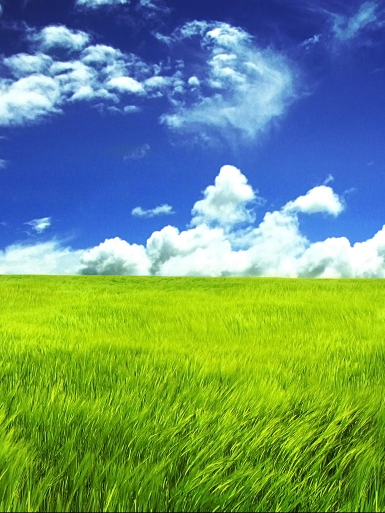 Download mobile wallpaper Grass, Earth for free.