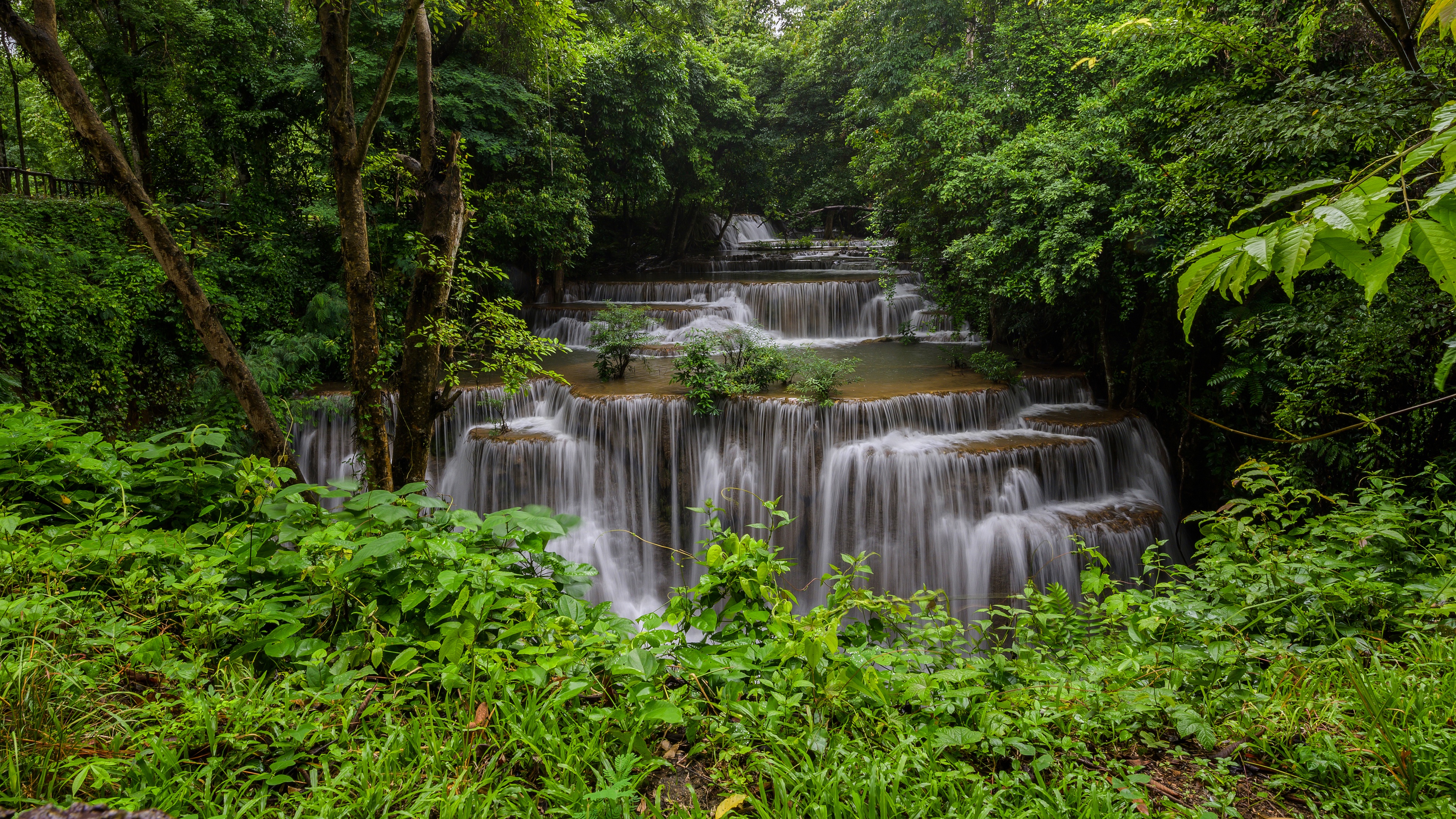 Download mobile wallpaper Waterfalls, Waterfall, Vegetation, Earth for free.