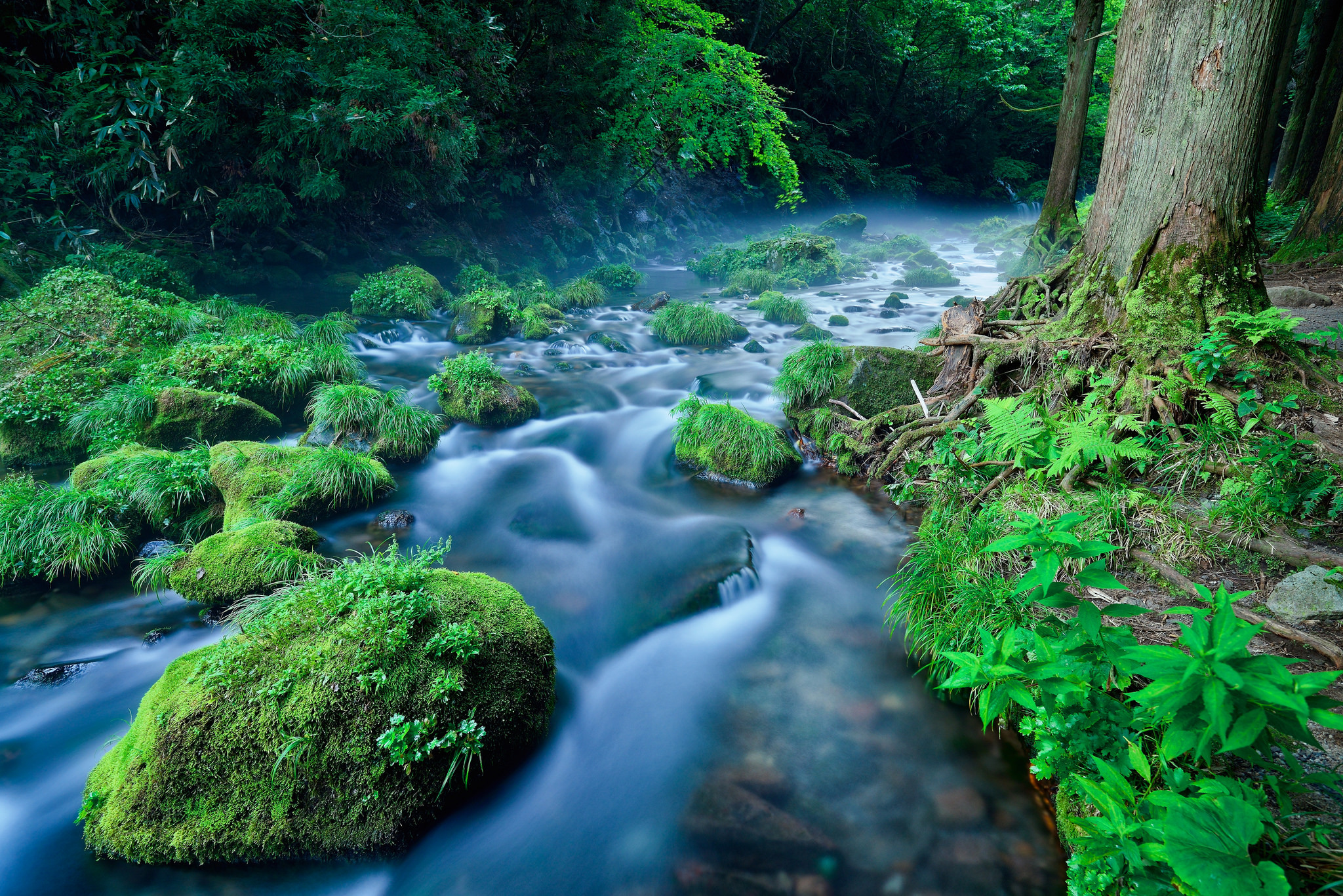 Laden Sie das Natur, Wald, Fluss, Stein, Moos, Strom, Erde/natur-Bild kostenlos auf Ihren PC-Desktop herunter