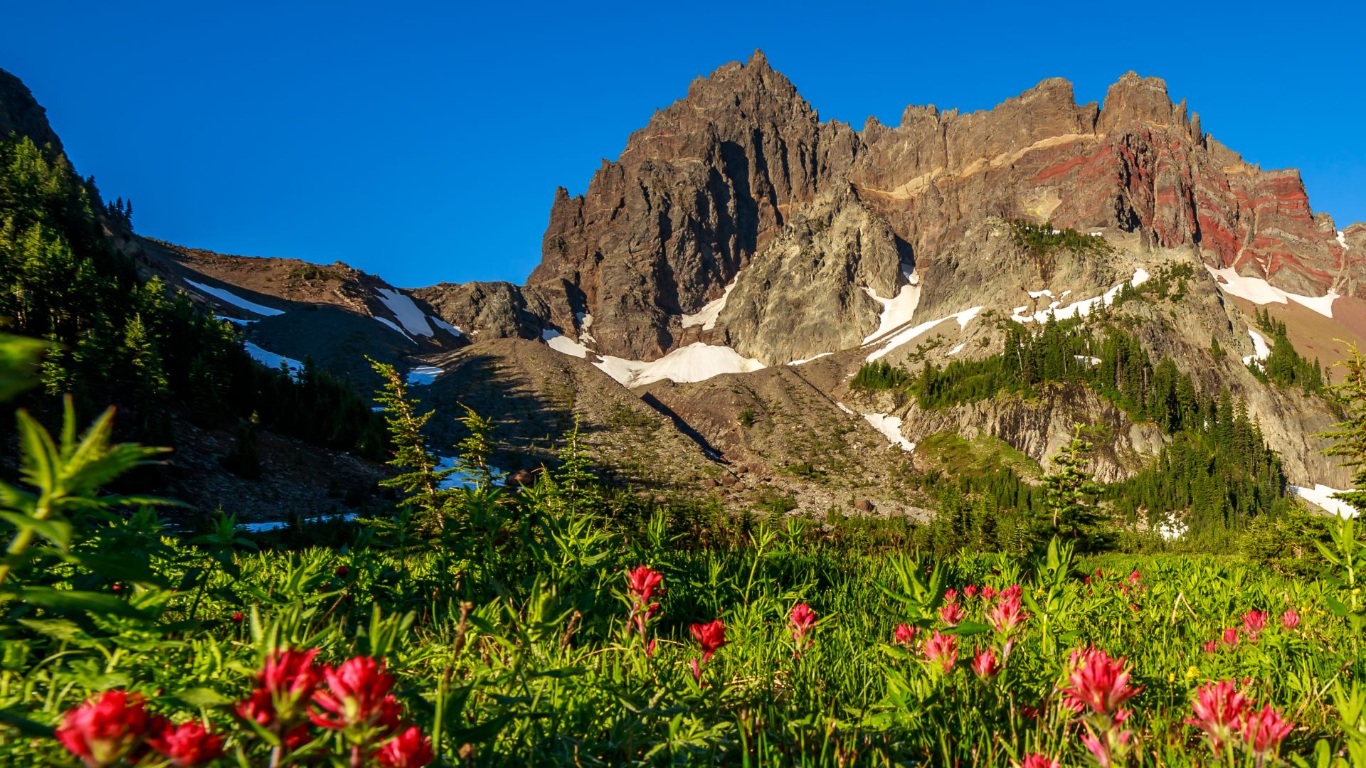 360595 Fonds d'écran et Mount Three Fingered Jack images sur le bureau. Téléchargez les économiseurs d'écran  sur PC gratuitement