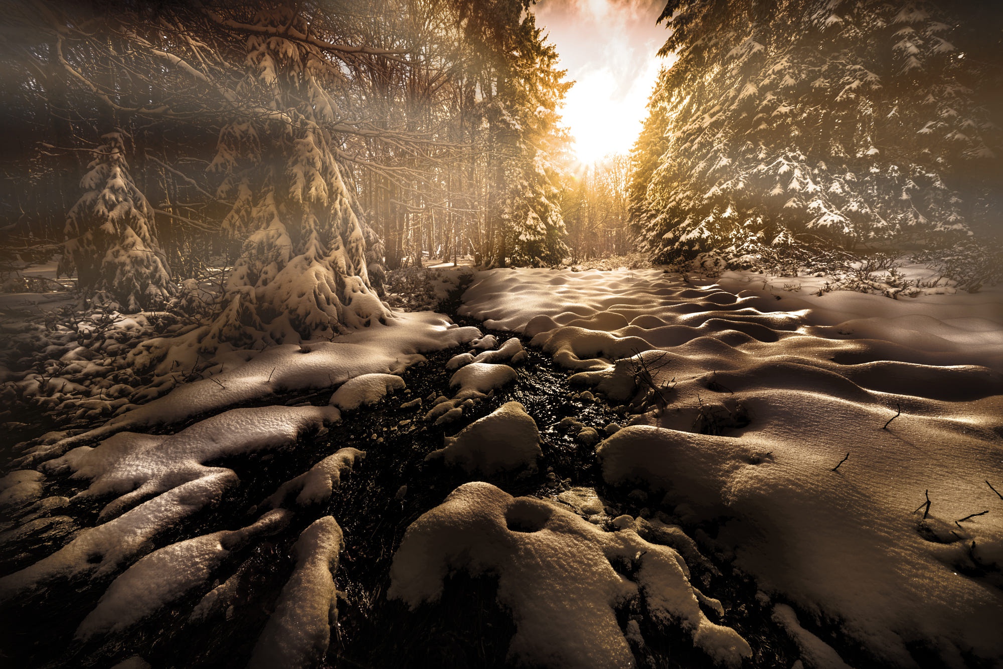 Download mobile wallpaper Winter, Snow, Earth, Spruce, Stream, Sunlight for free.