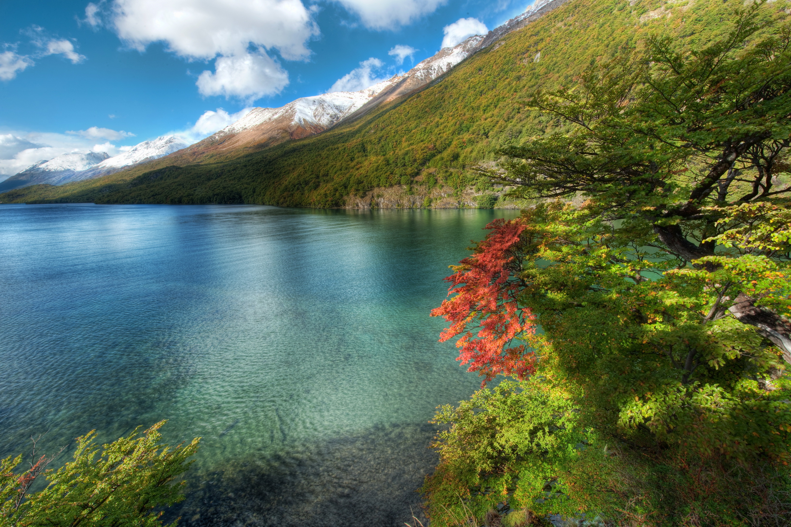 Free download wallpaper Mountain, Lake, Coast, Tree, Ocean, Earth, Coastline on your PC desktop