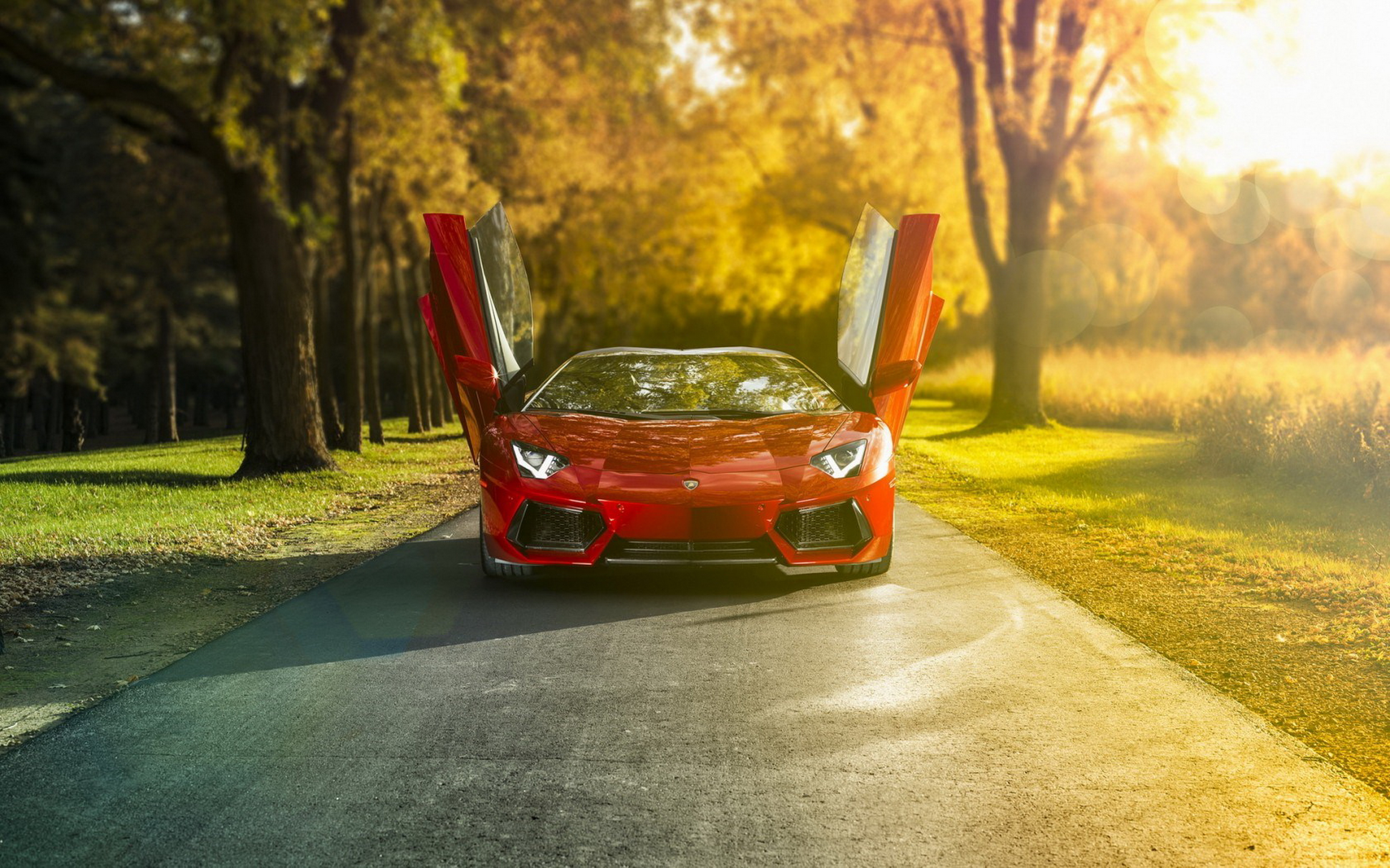 Descarga gratis la imagen Lamborghini Aventador, Lamborghini, Vehículos en el escritorio de tu PC