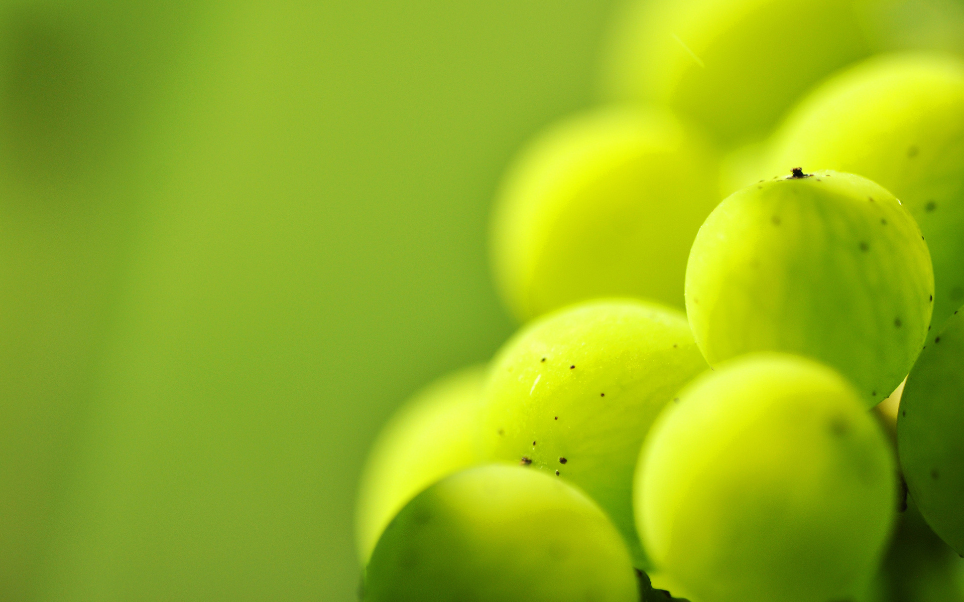 Download mobile wallpaper Grapes, Fruits, Food, Close Up for free.