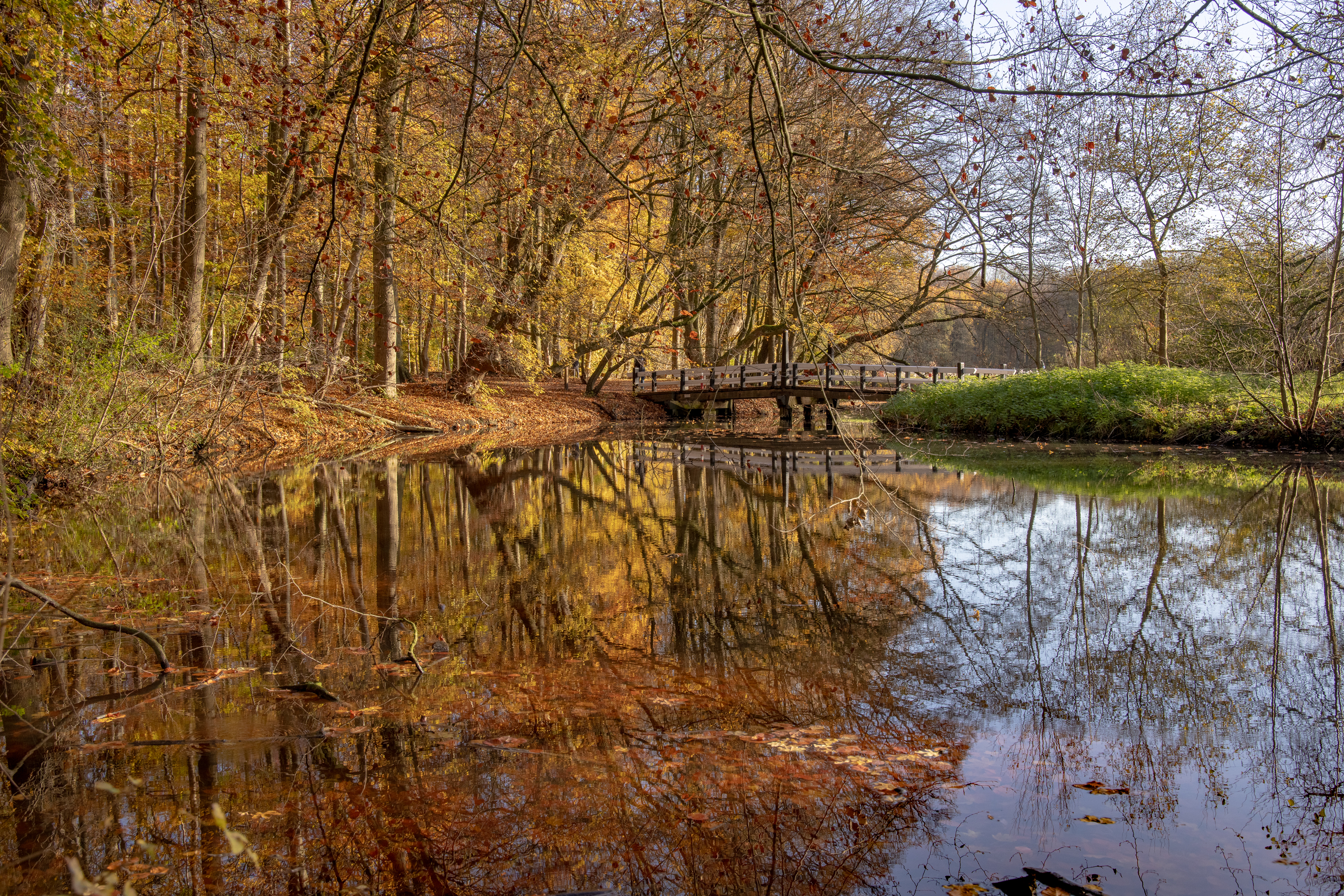 Téléchargez gratuitement l'image Lac, Des Lacs, Terre/nature sur le bureau de votre PC