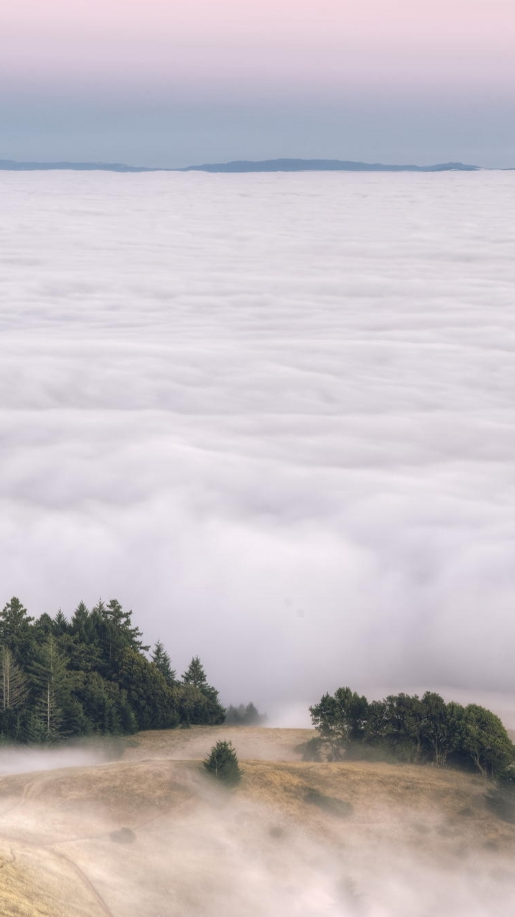 Download mobile wallpaper Landscape, Nature, Fog, Earth, Cloud for free.