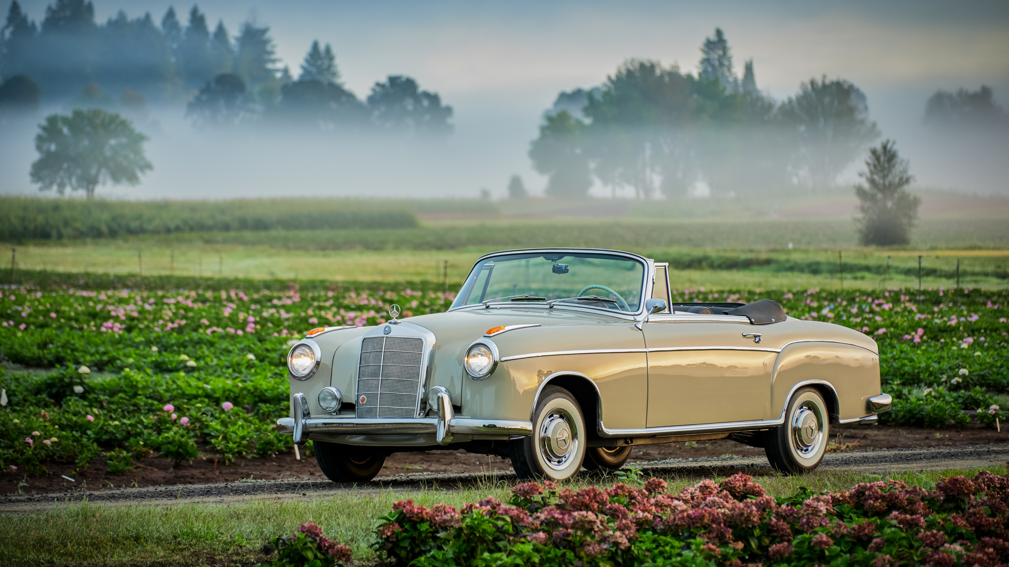 Download mobile wallpaper Car, Mercedes Benz, Convertible, Old Car, Vehicles, Beige Car, Mercedes Benz 220S for free.