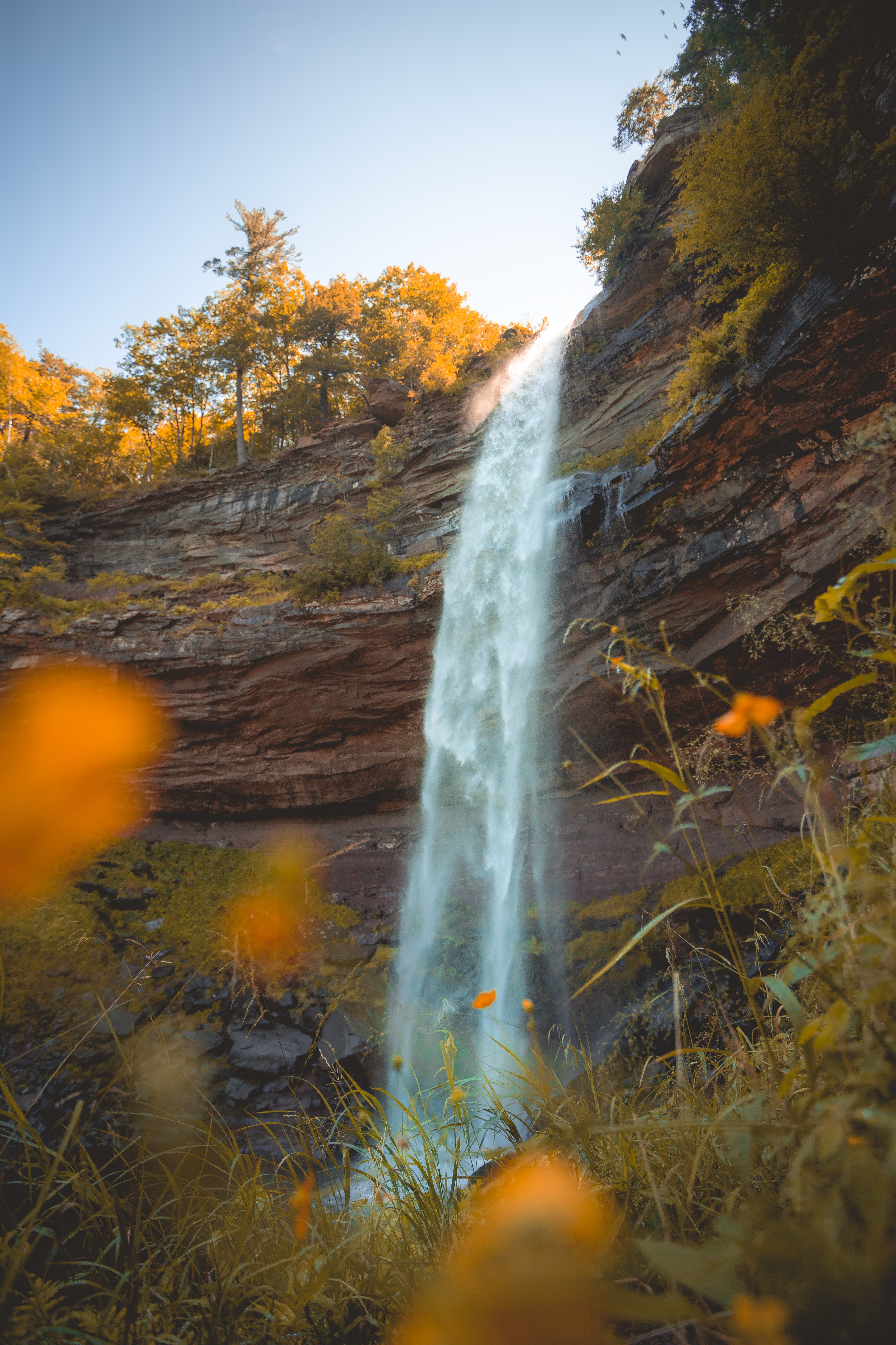 waterfall, grass, nature, flowers, rock, break, precipice HD wallpaper