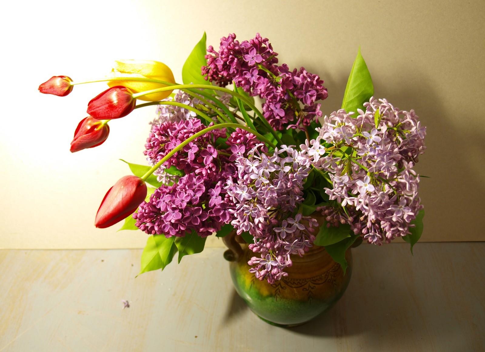 Скачать обои бесплатно Цветы, Цветение, Тюльпаны, Весна, Сирень картинка на рабочий стол ПК