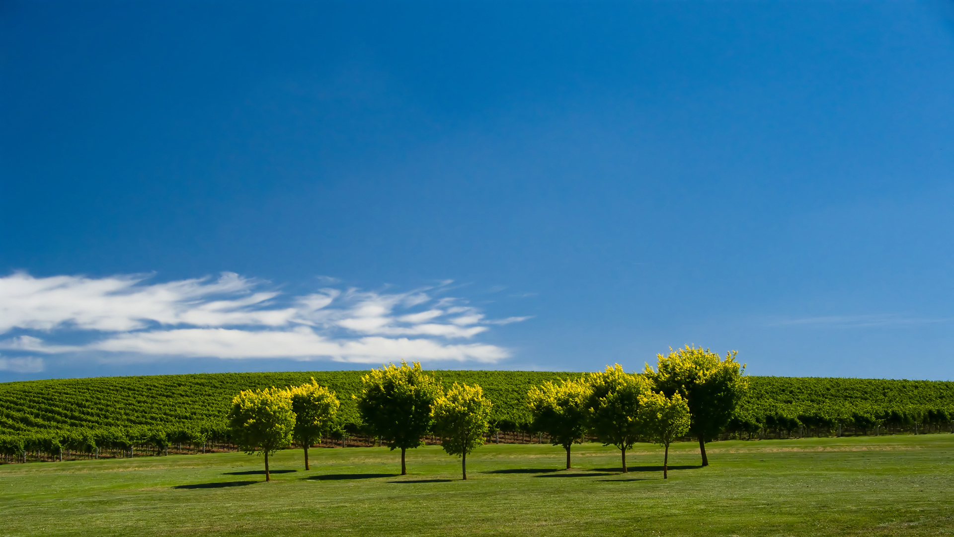 Descarga gratis la imagen Tierra/naturaleza, Paisaje en el escritorio de tu PC