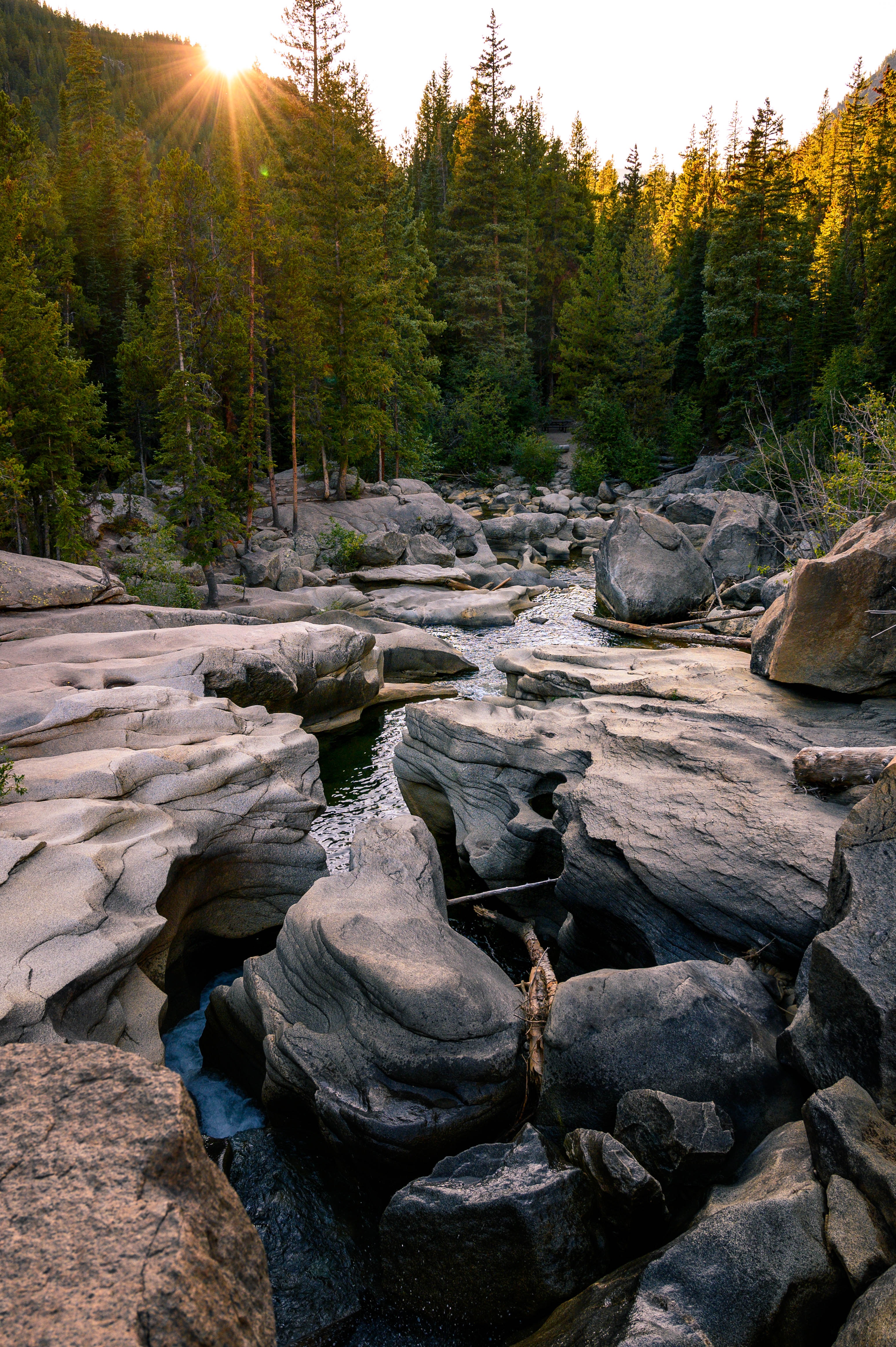 landscape, nature, rivers, stones, forest Full HD
