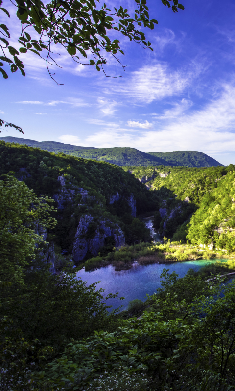 無料モバイル壁紙木, 湖, 森, 地球, クロアチア, プリトヴィツェ湖, プリトヴィツェ湖国立公園をダウンロードします。