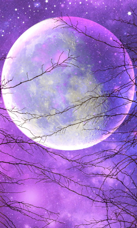 Download mobile wallpaper Sky, Moon, Tree, Starry Sky, Purple, Artistic for free.