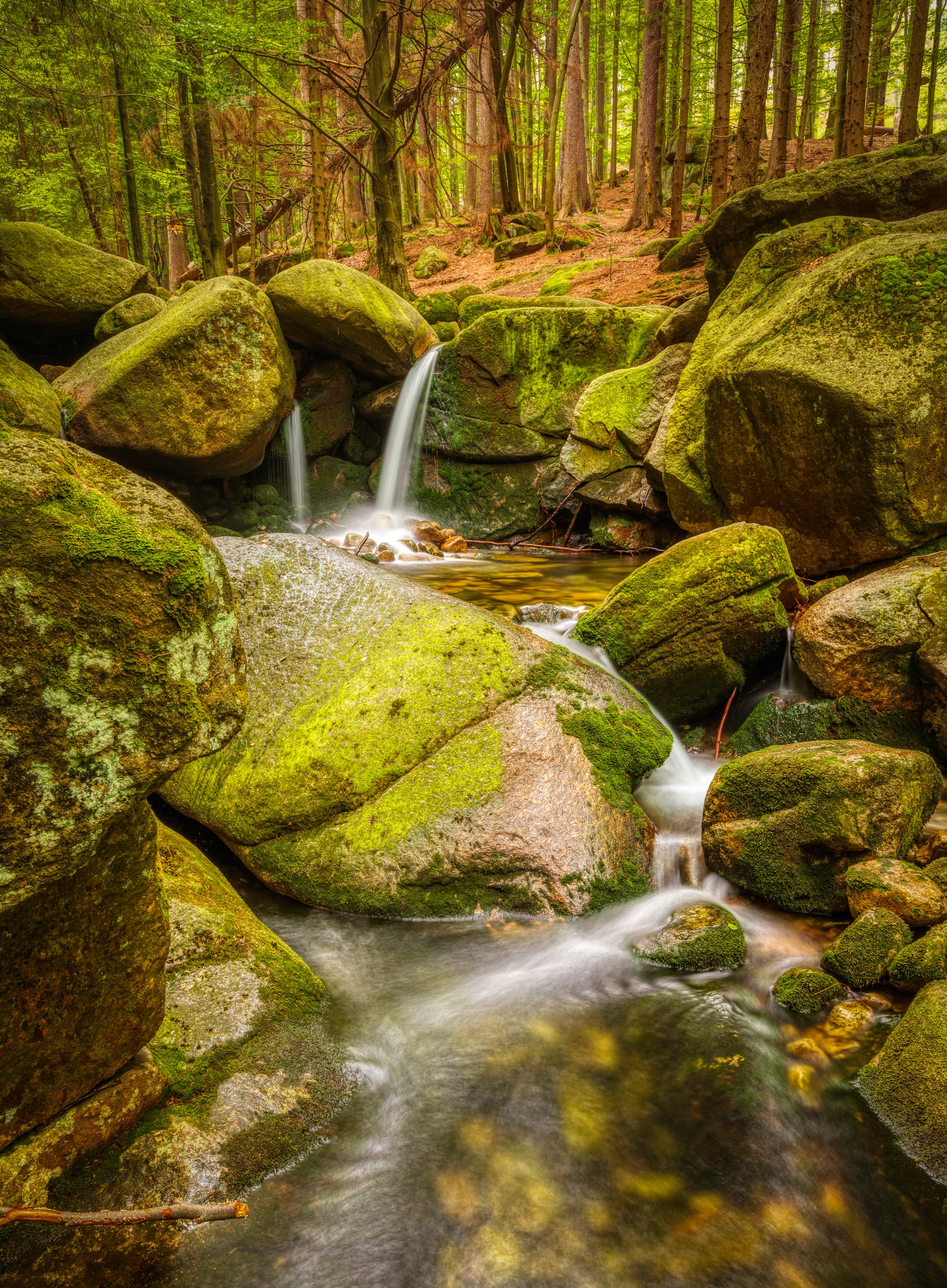 nature, stones, forest, moss, creek, brook