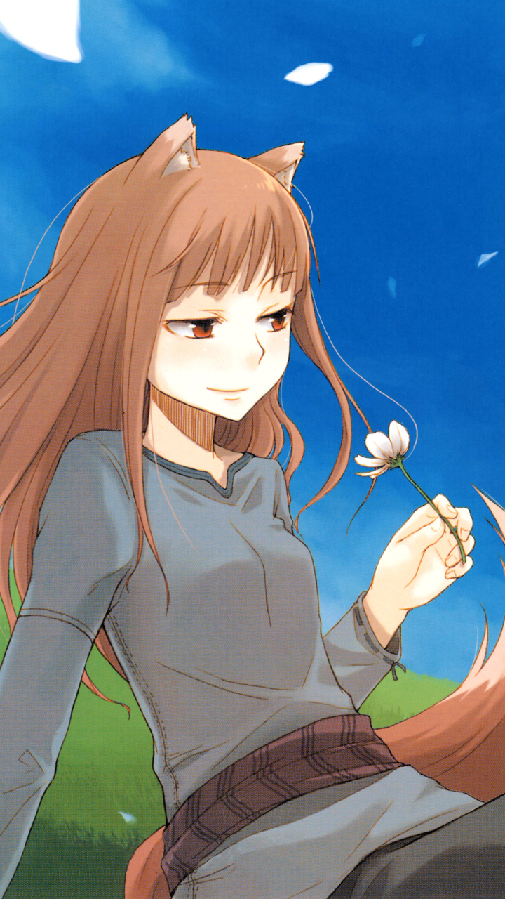 Download mobile wallpaper Anime, Holo (Spice & Wolf), Spice And Wolf, Kemonomimi for free.