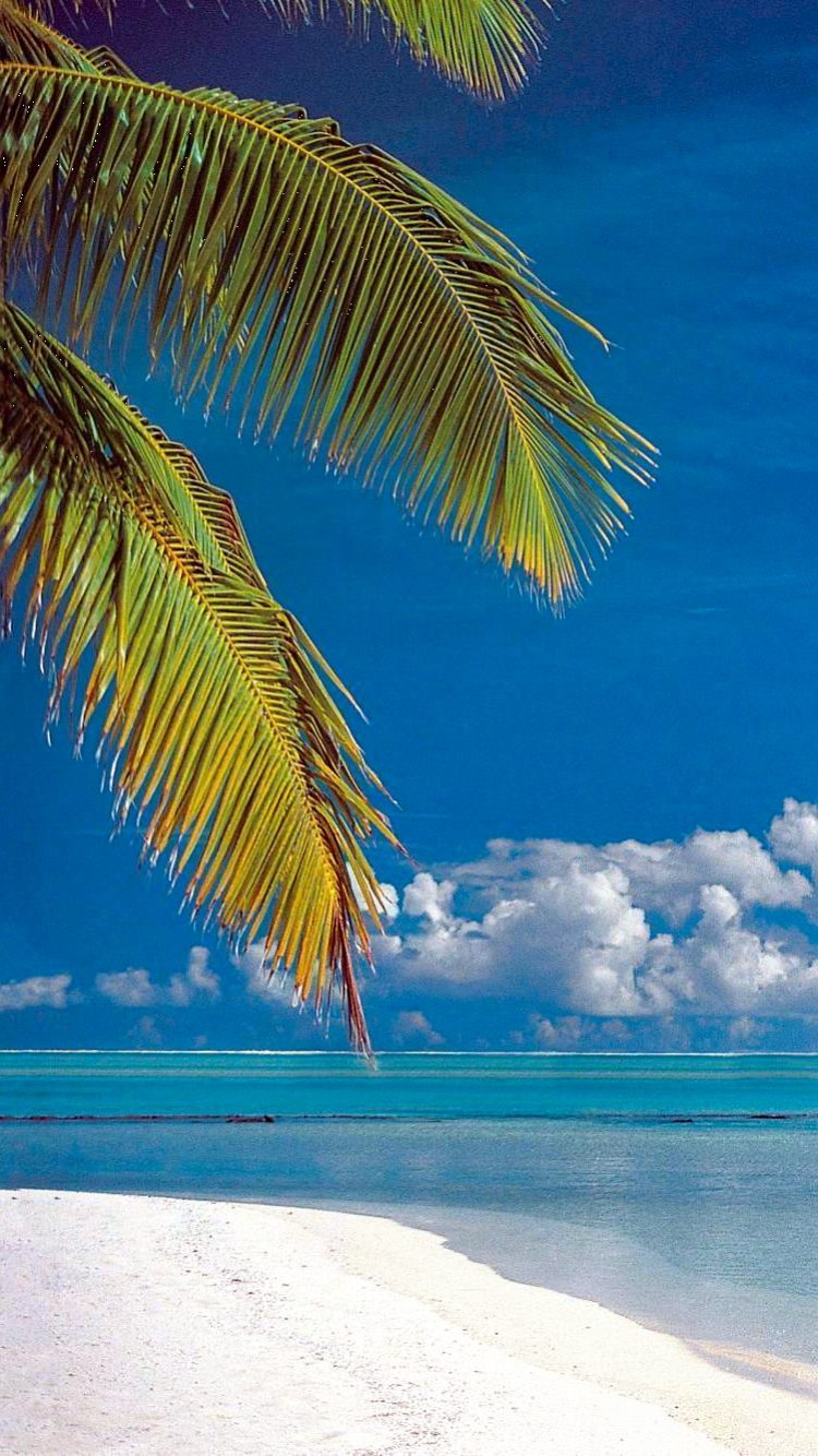 Download mobile wallpaper Sky, Beach, Summer, Horizon, Reflection, Ocean, Earth, Tropical, Cloud, Palm Tree for free.