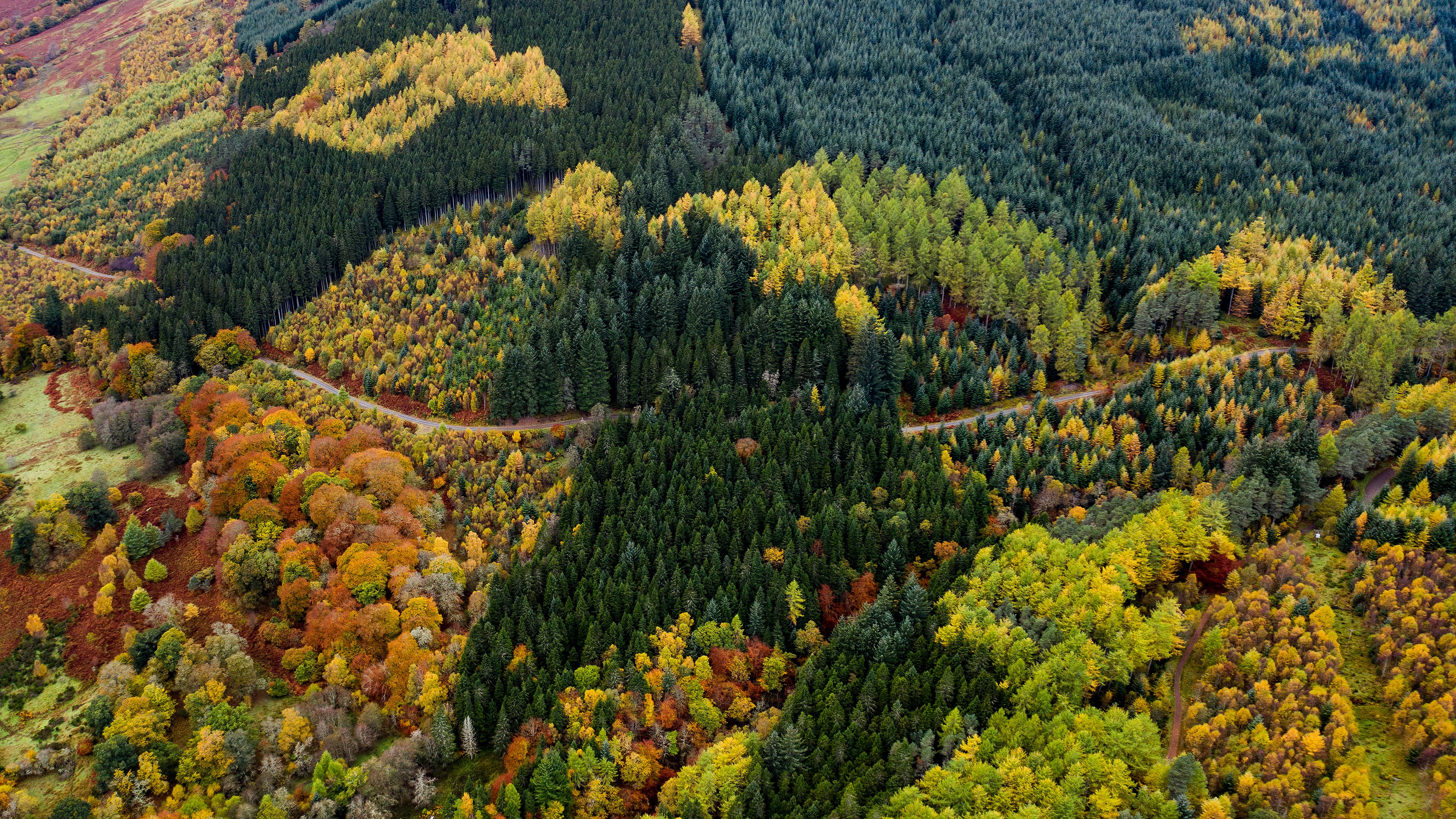 Baixe gratuitamente a imagem Outono, Estrada, Floresta, Fotografia, Aéreo na área de trabalho do seu PC